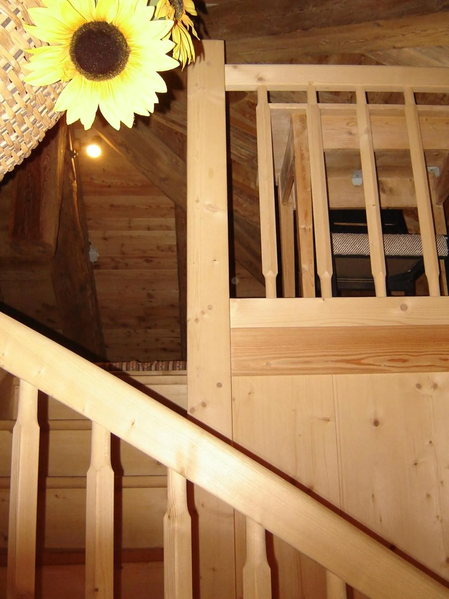 Photo of the whole room in Residenza Domino