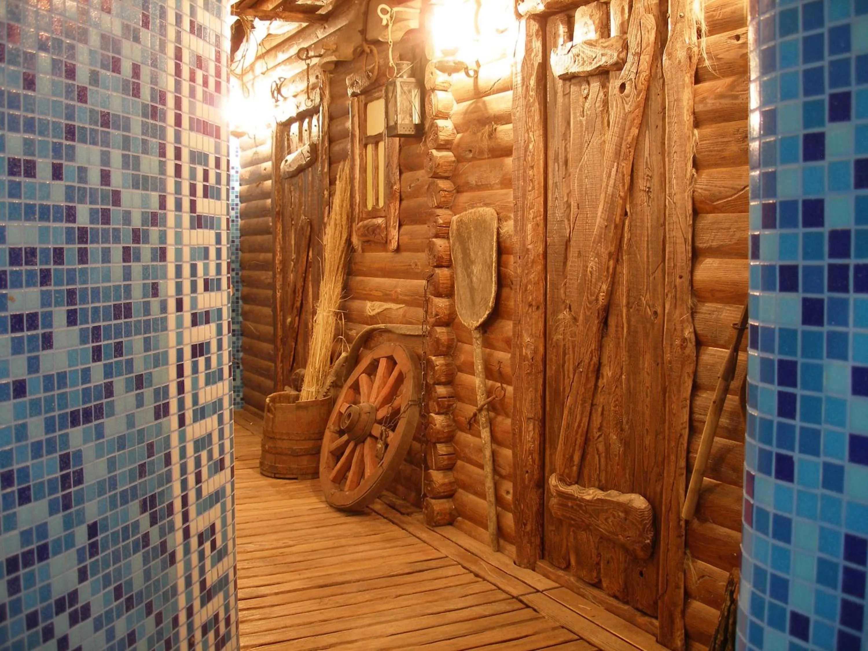 Spa and wellness centre/facilities in Hotel Meduza