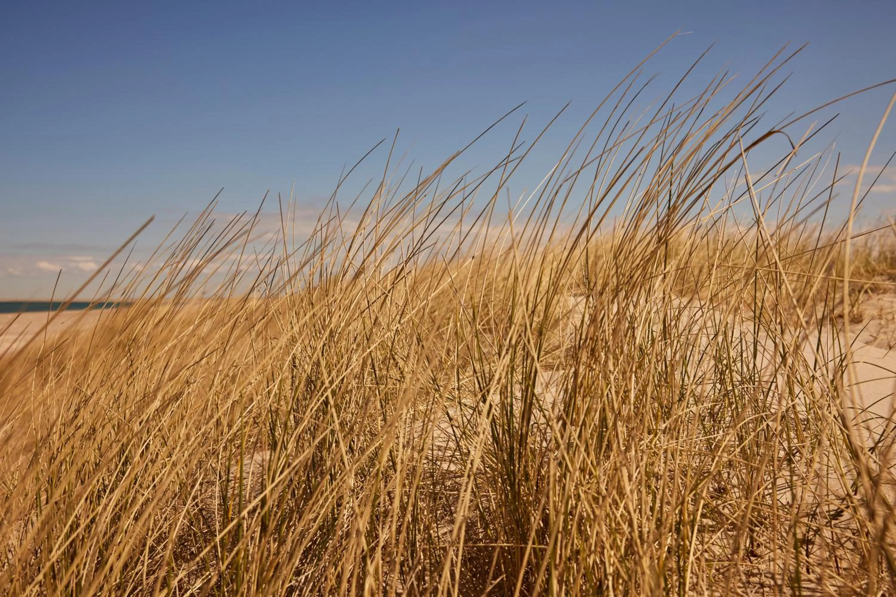 Beach in Strandhotel Klitrosen
