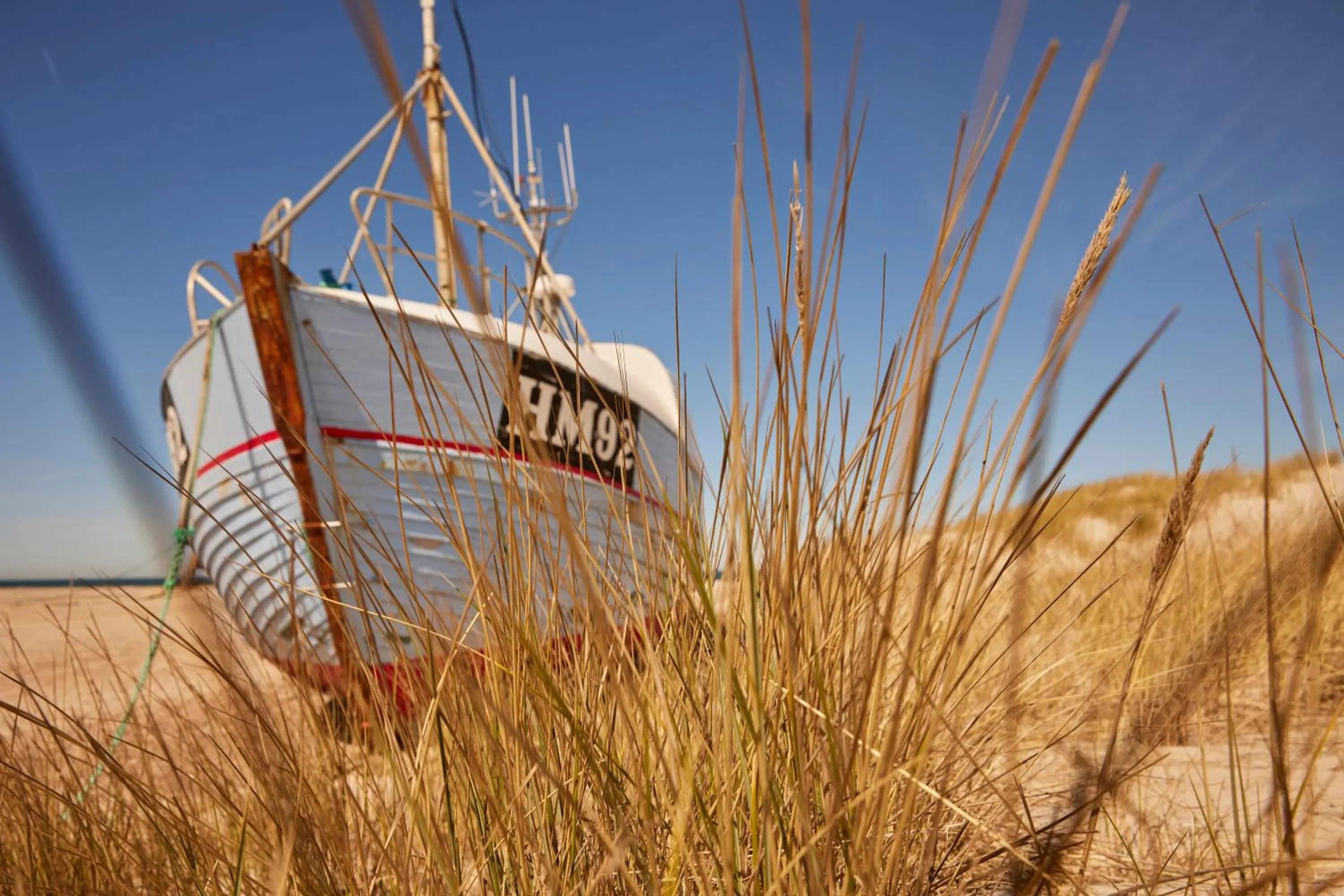 Beach in Strandhotel Klitrosen