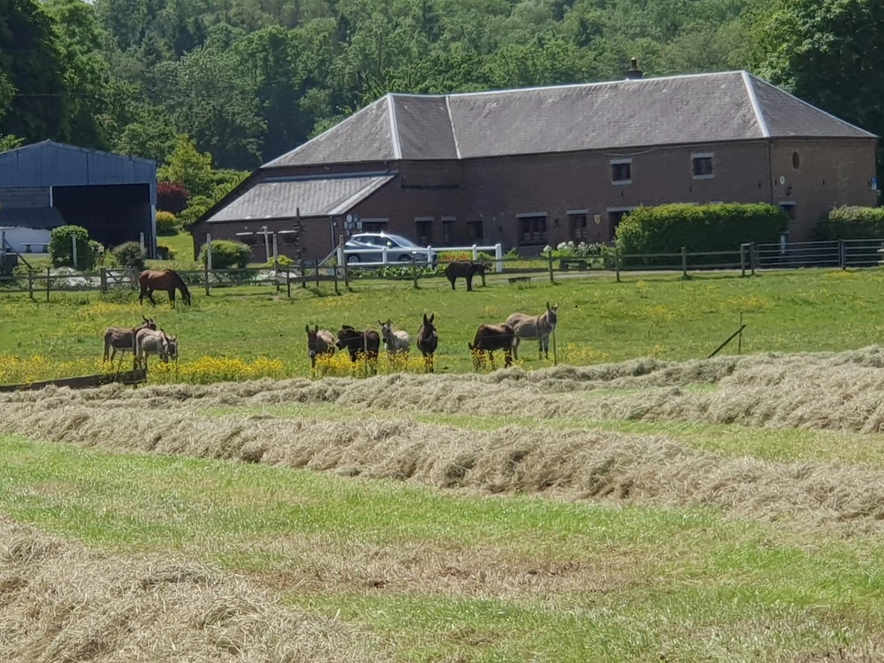 Property building in Les Mout'Anes