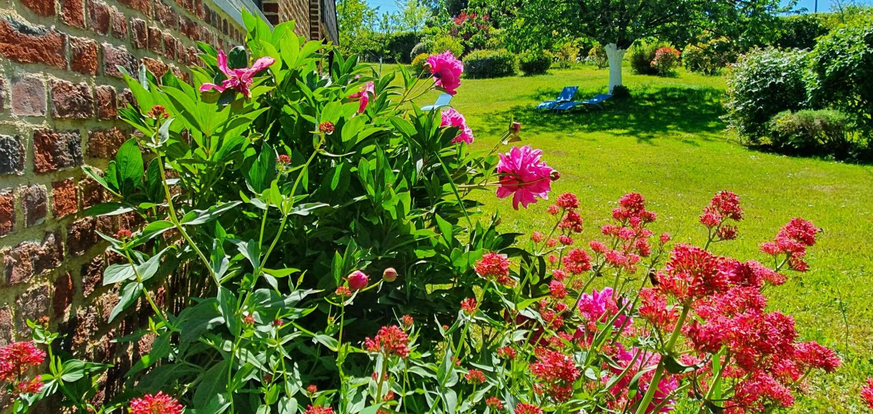 Garden in Les Mout'Anes