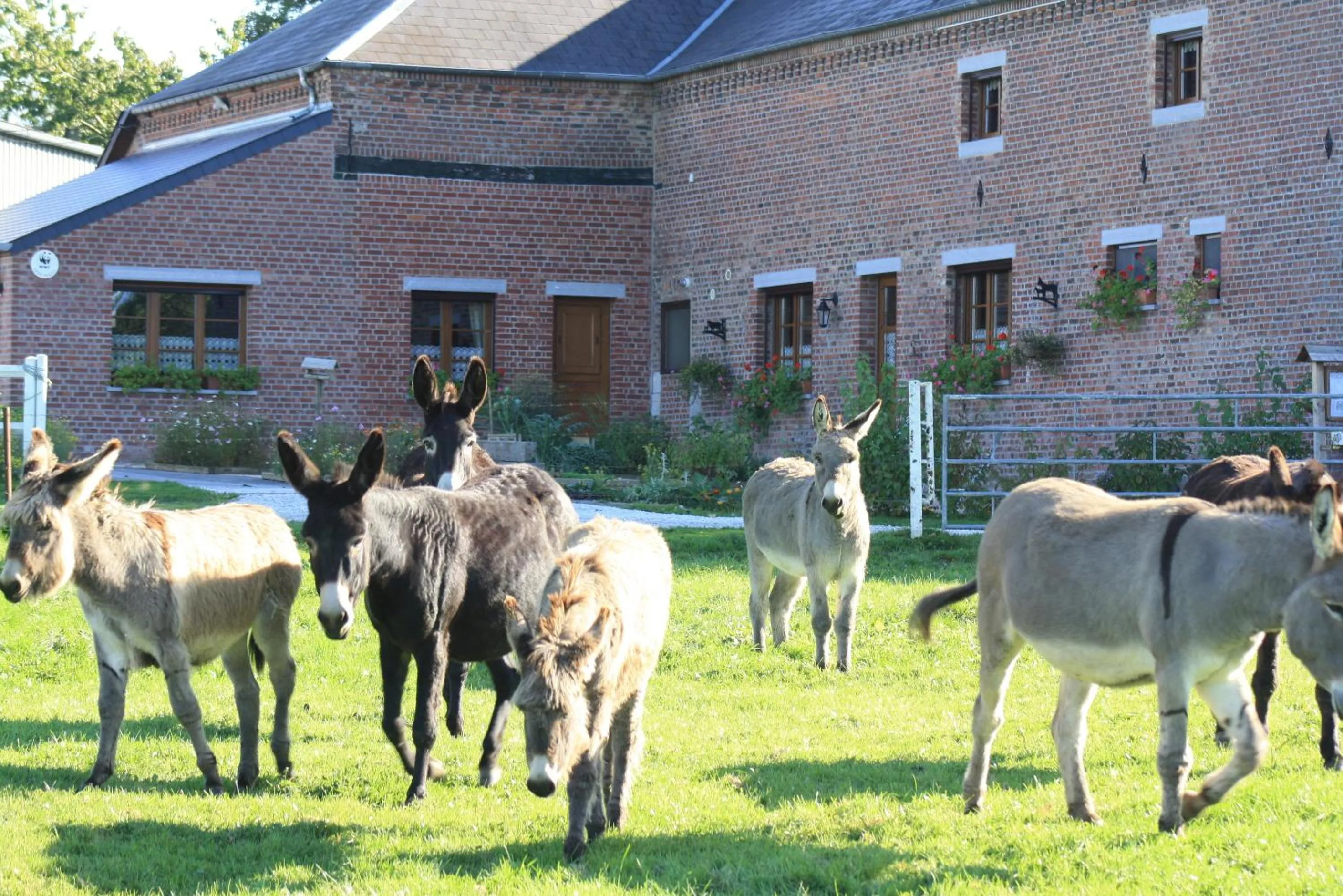 Facade/entrance in Les Mout'Anes