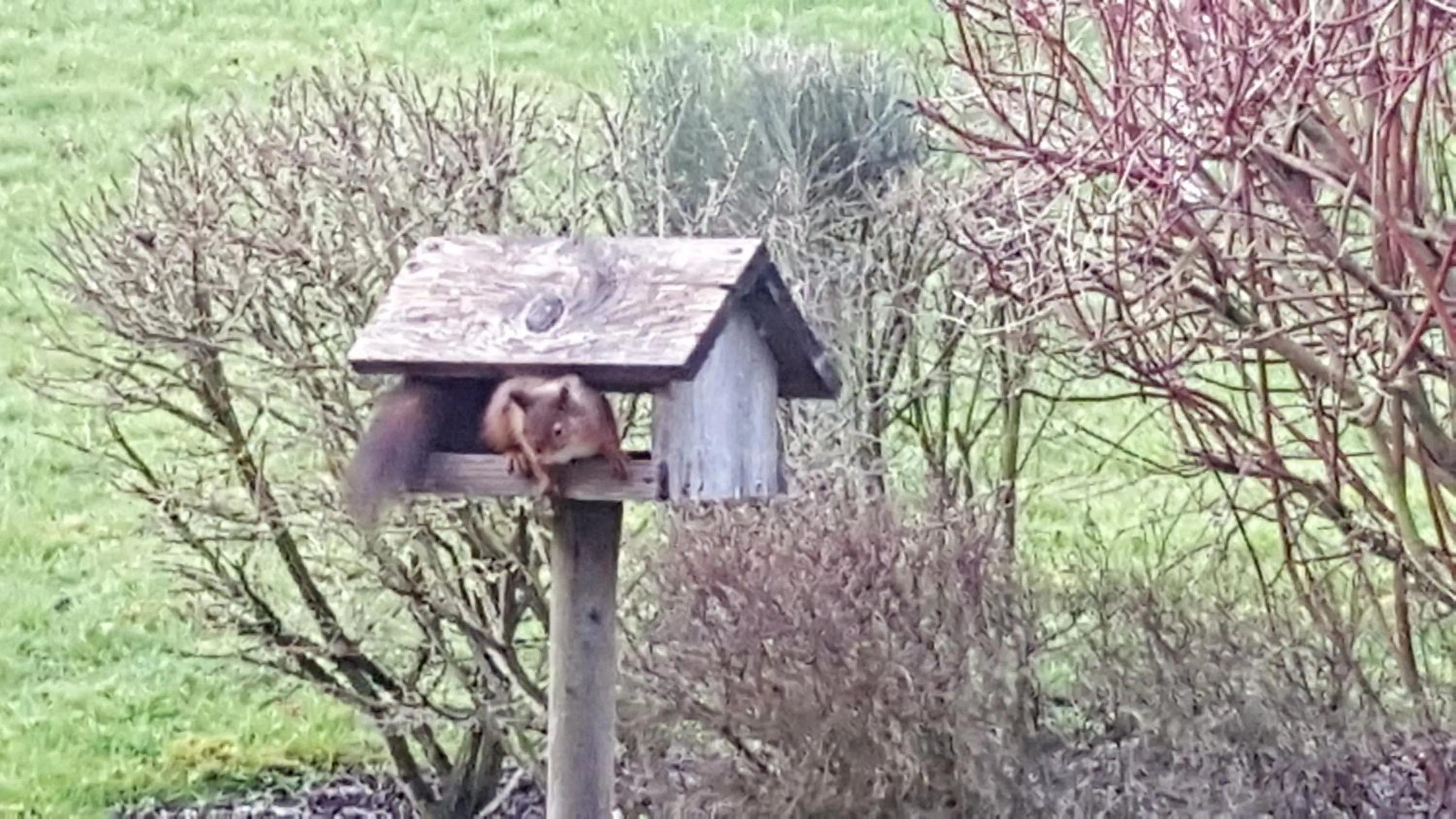 Natural landscape in Les Mout'Anes