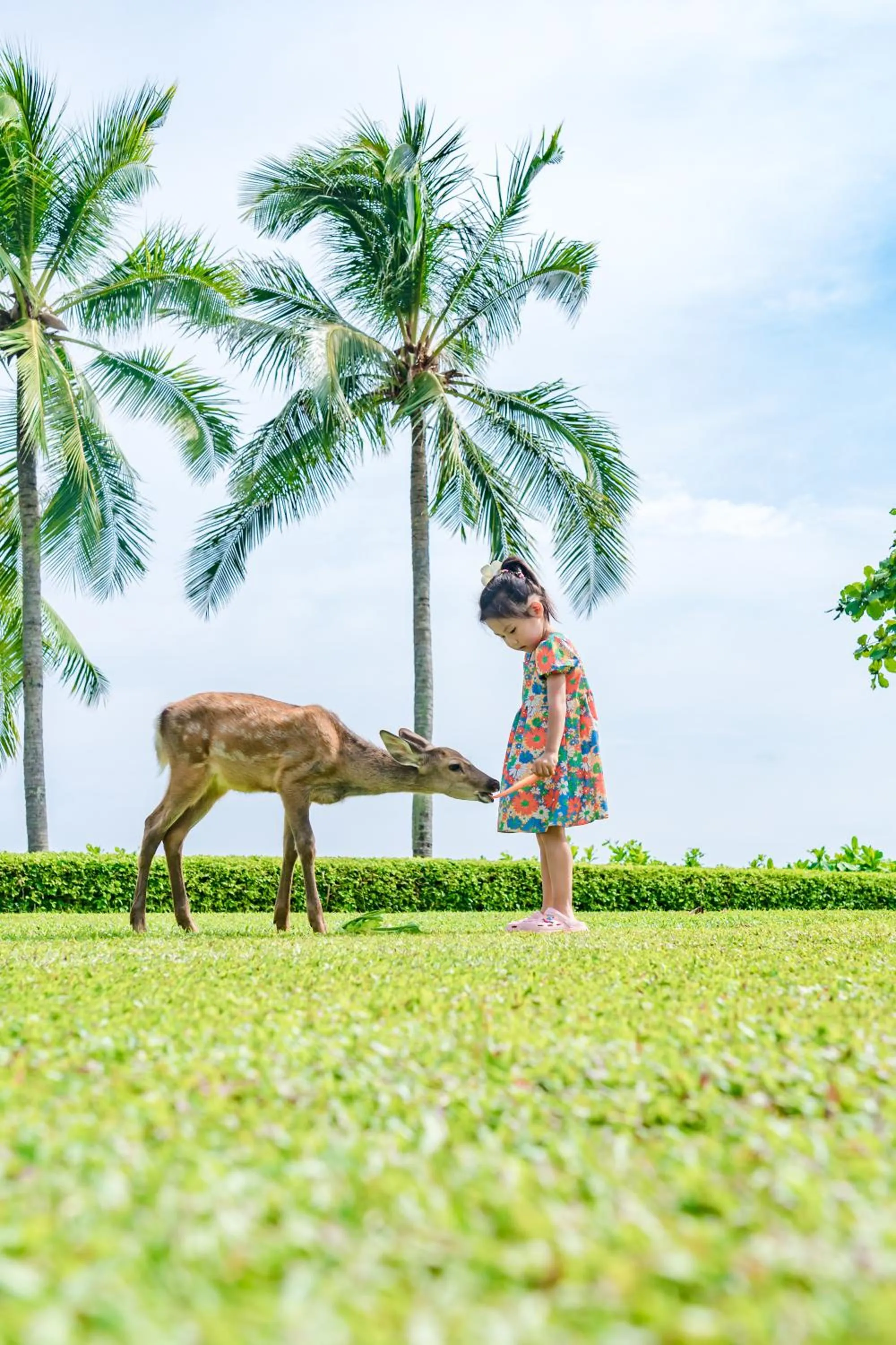 Animals in Horizon Resort & Spa Yalong Bay-Yalong Bay Central