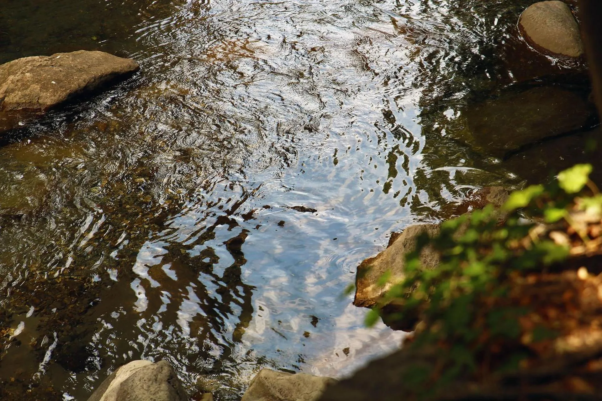 River view in Le Prieuré