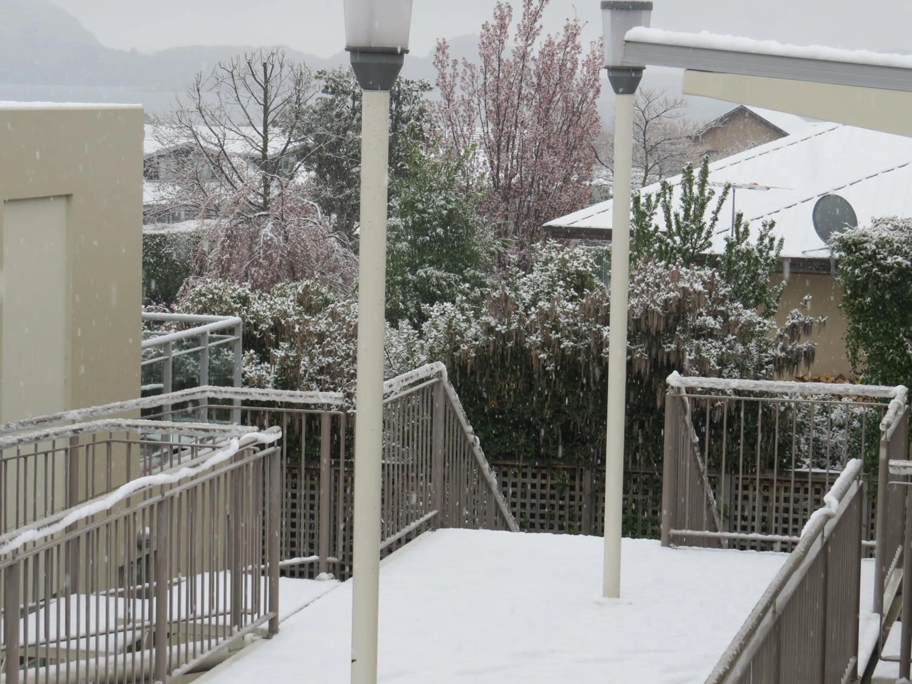 Balcony/Terrace in Belvedere Apartments