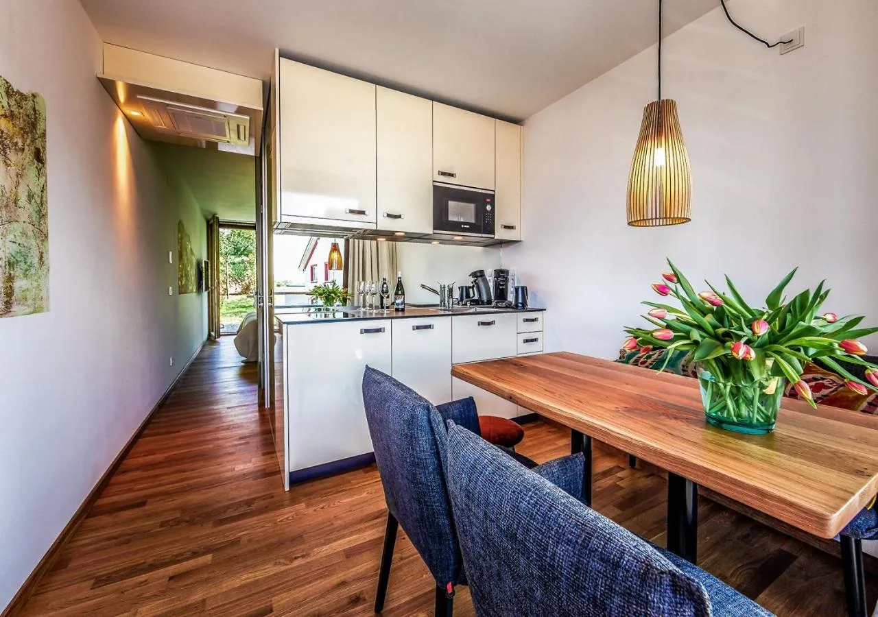 Kitchen or kitchenette in Ferienwohnungen Boardinghouse Bodensee