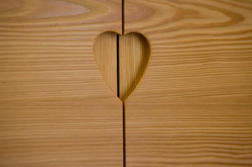 Other in Residence Gustav Thoeni