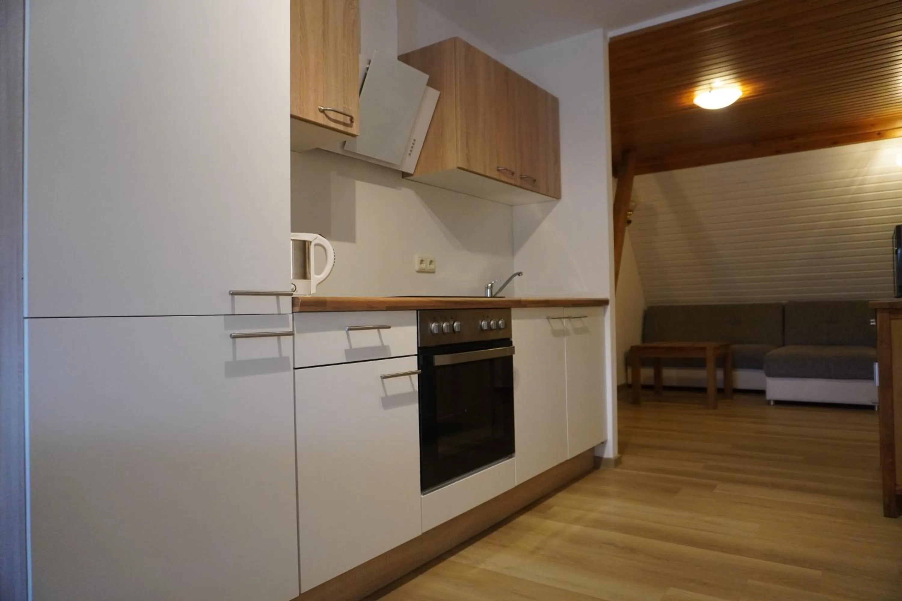 Kitchen or kitchenette in Alcor Hotel Feriendorf an der Ostsee