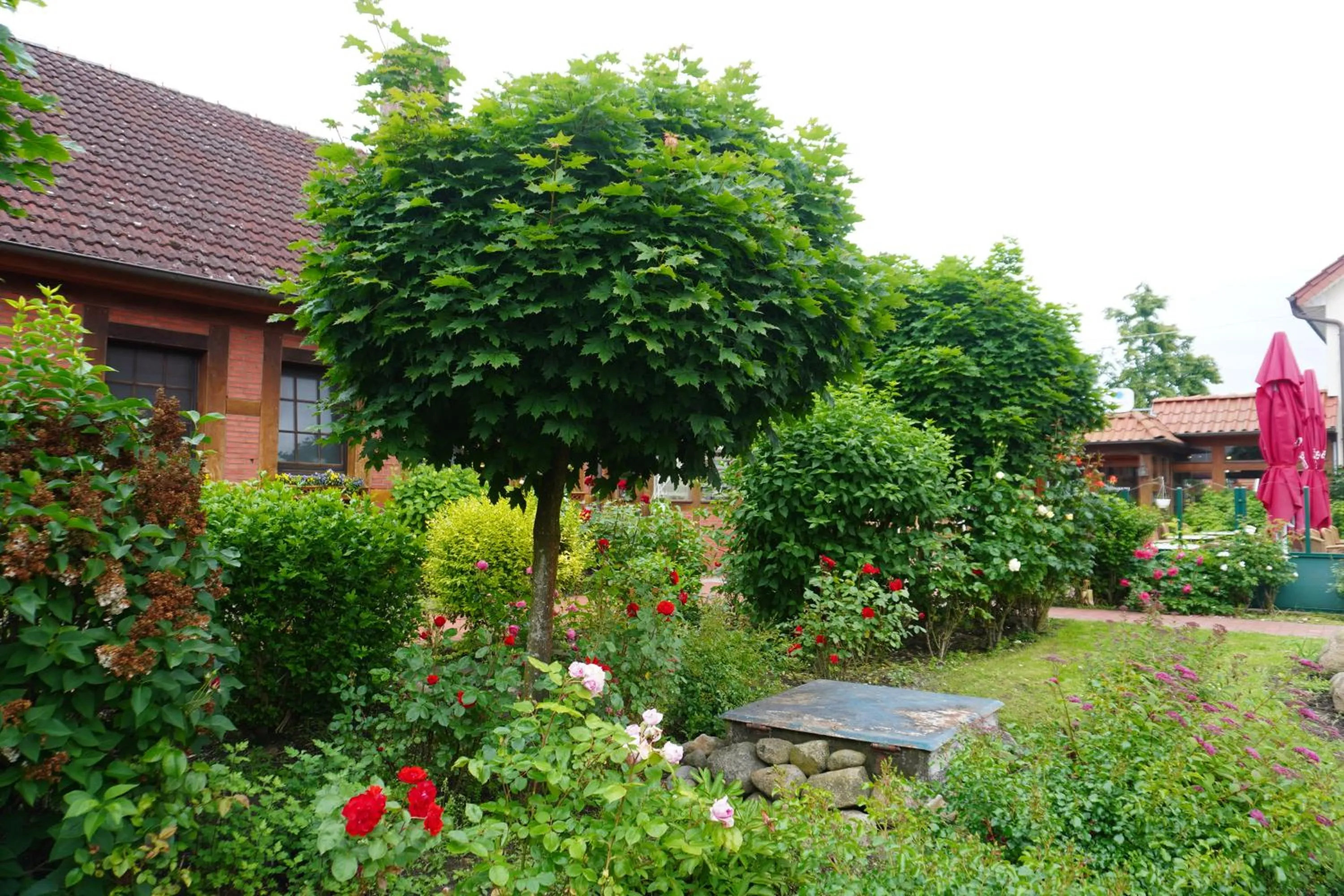 Spring in Alcor Hotel Feriendorf an der Ostsee