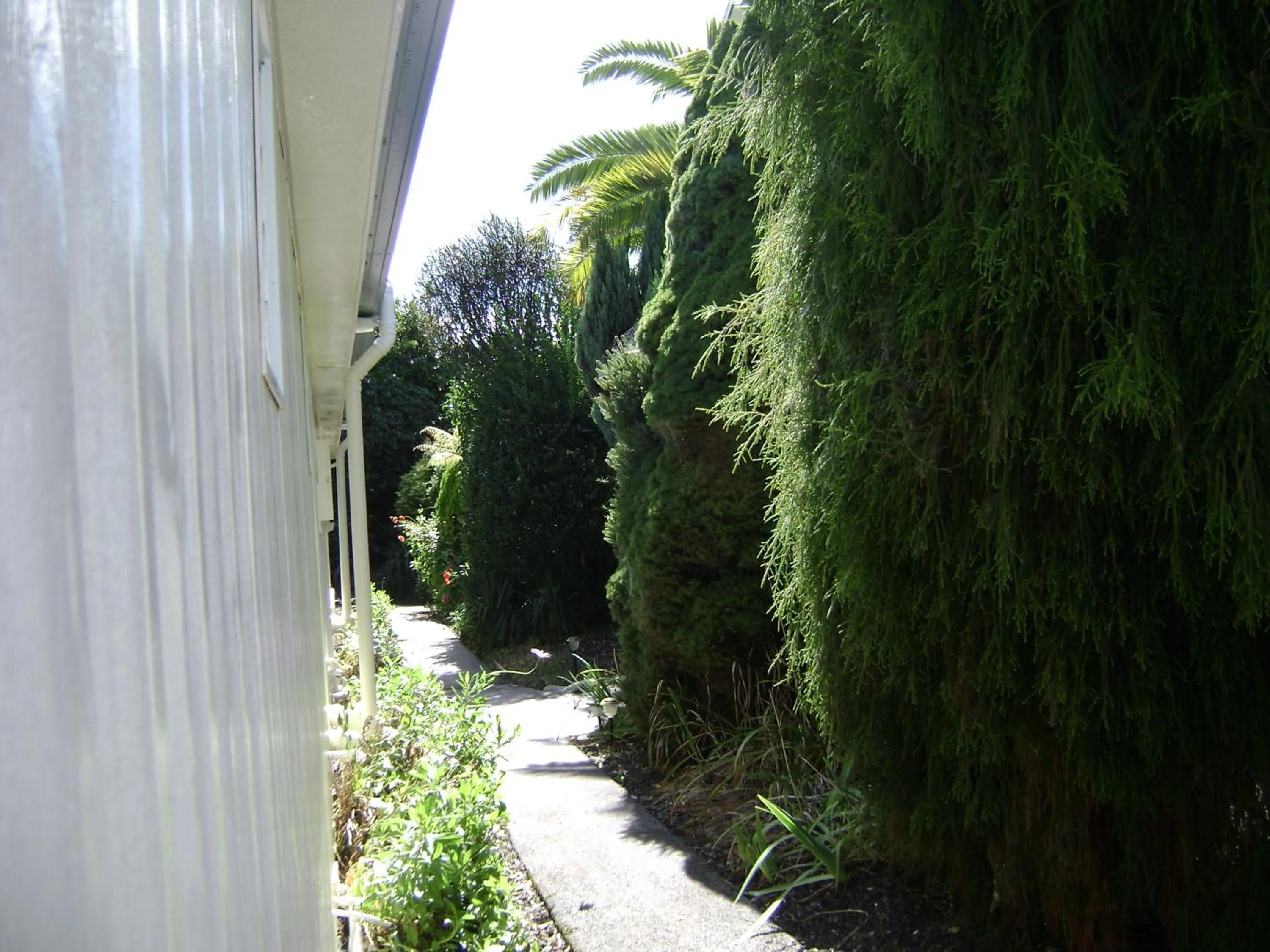 Garden in Mataki Motel
