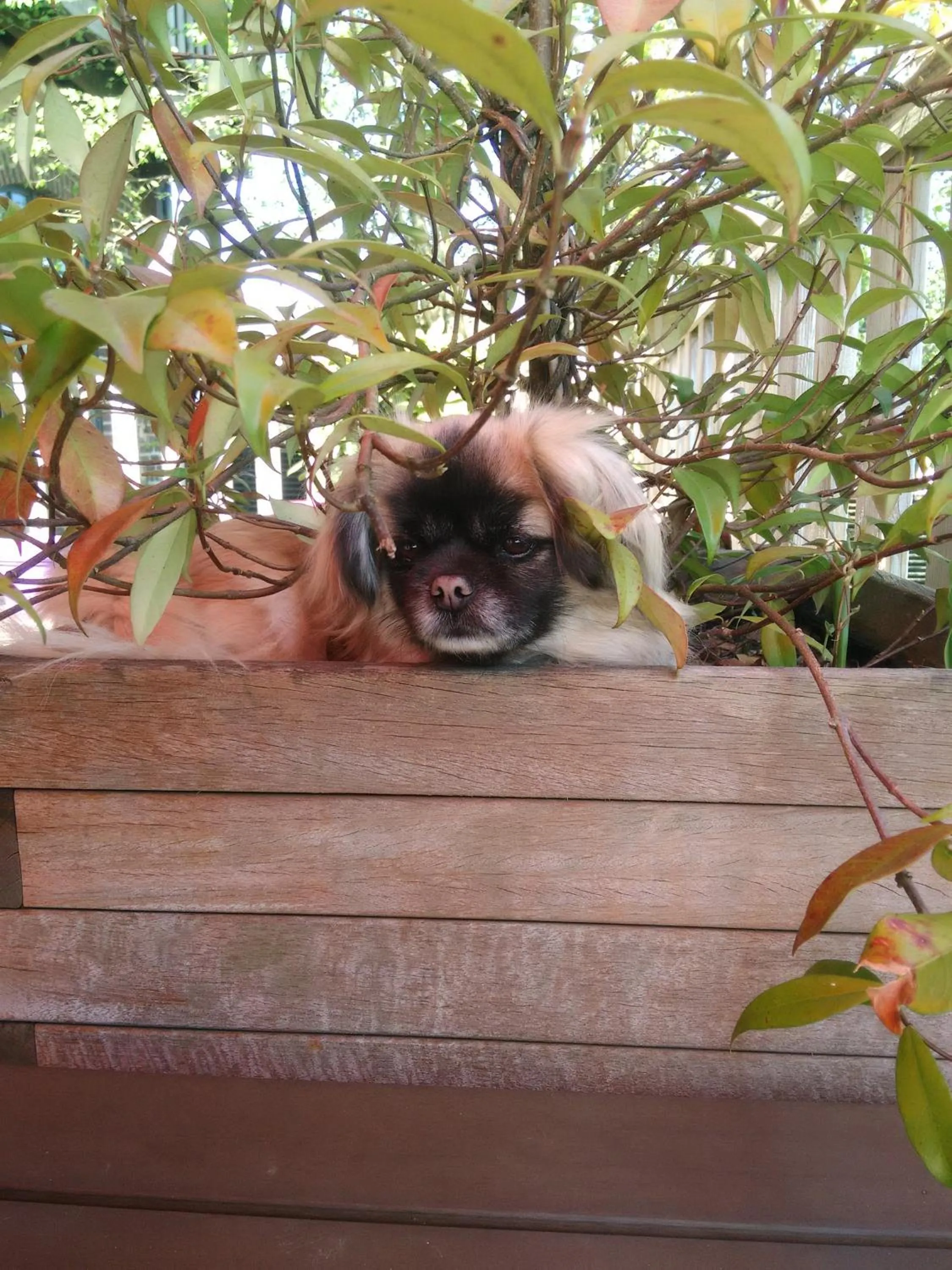 Other in La Haute Forge B&B