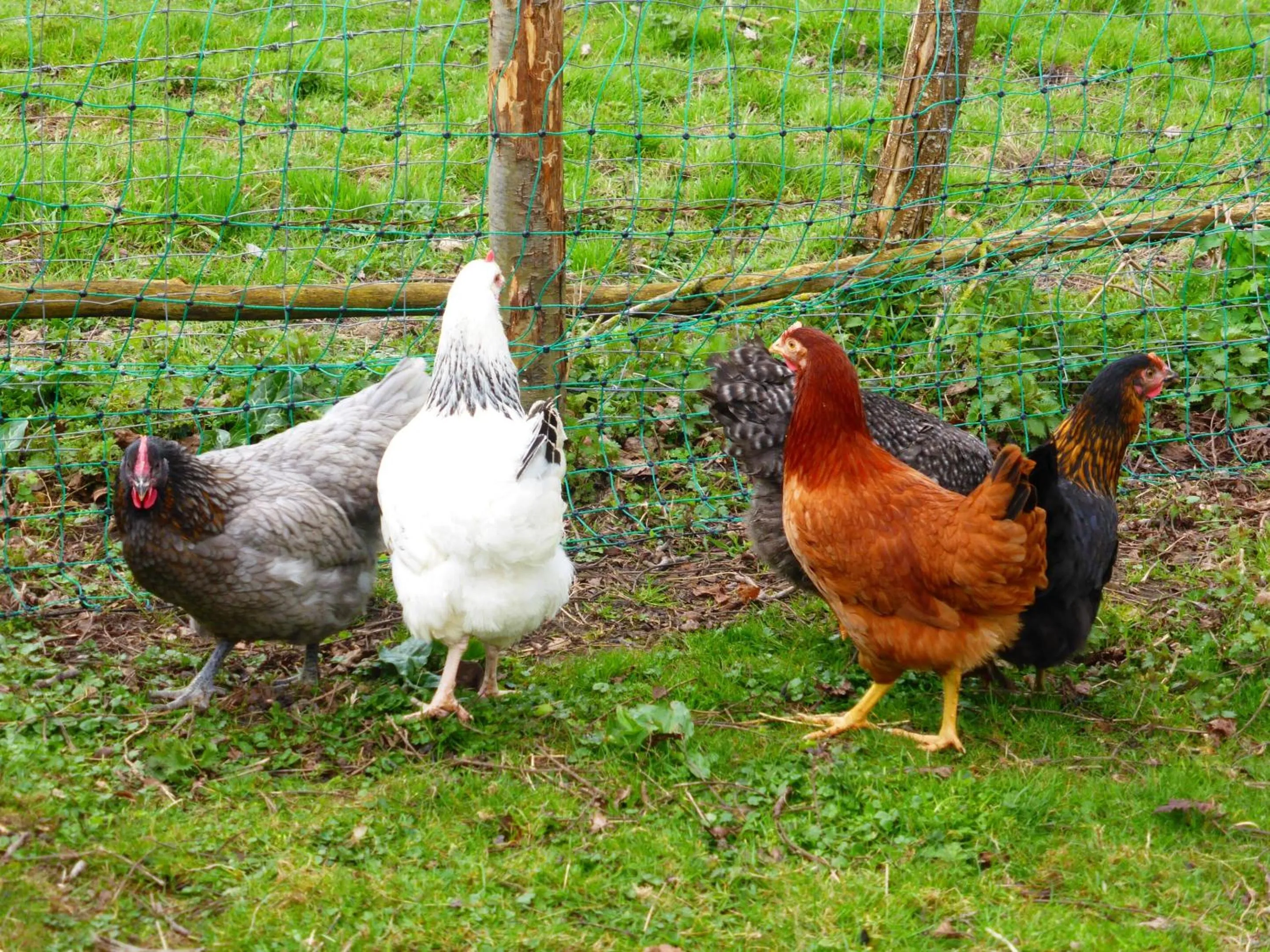 Other in La Haute Forge B&B