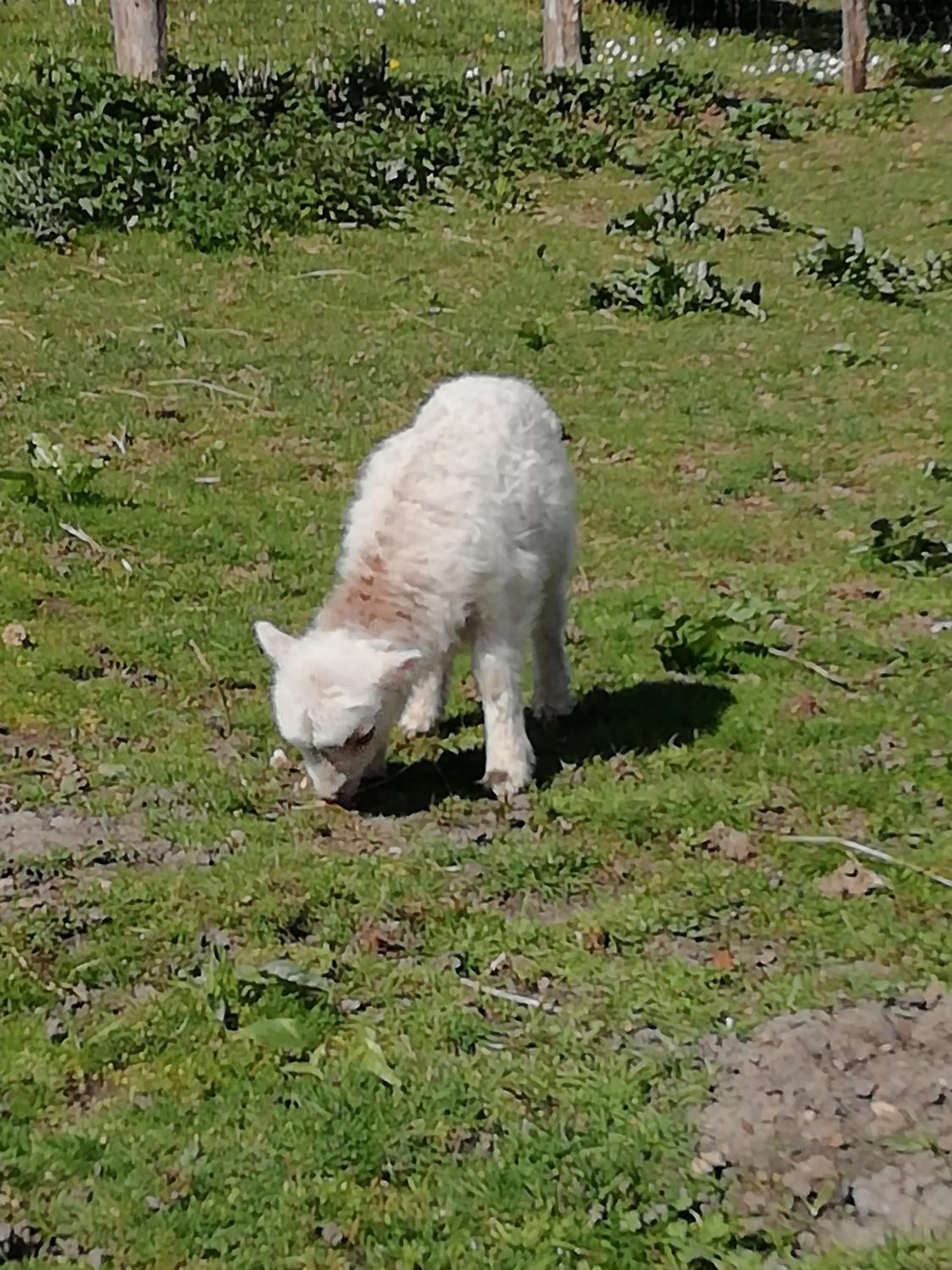 Other in La Haute Forge B&B