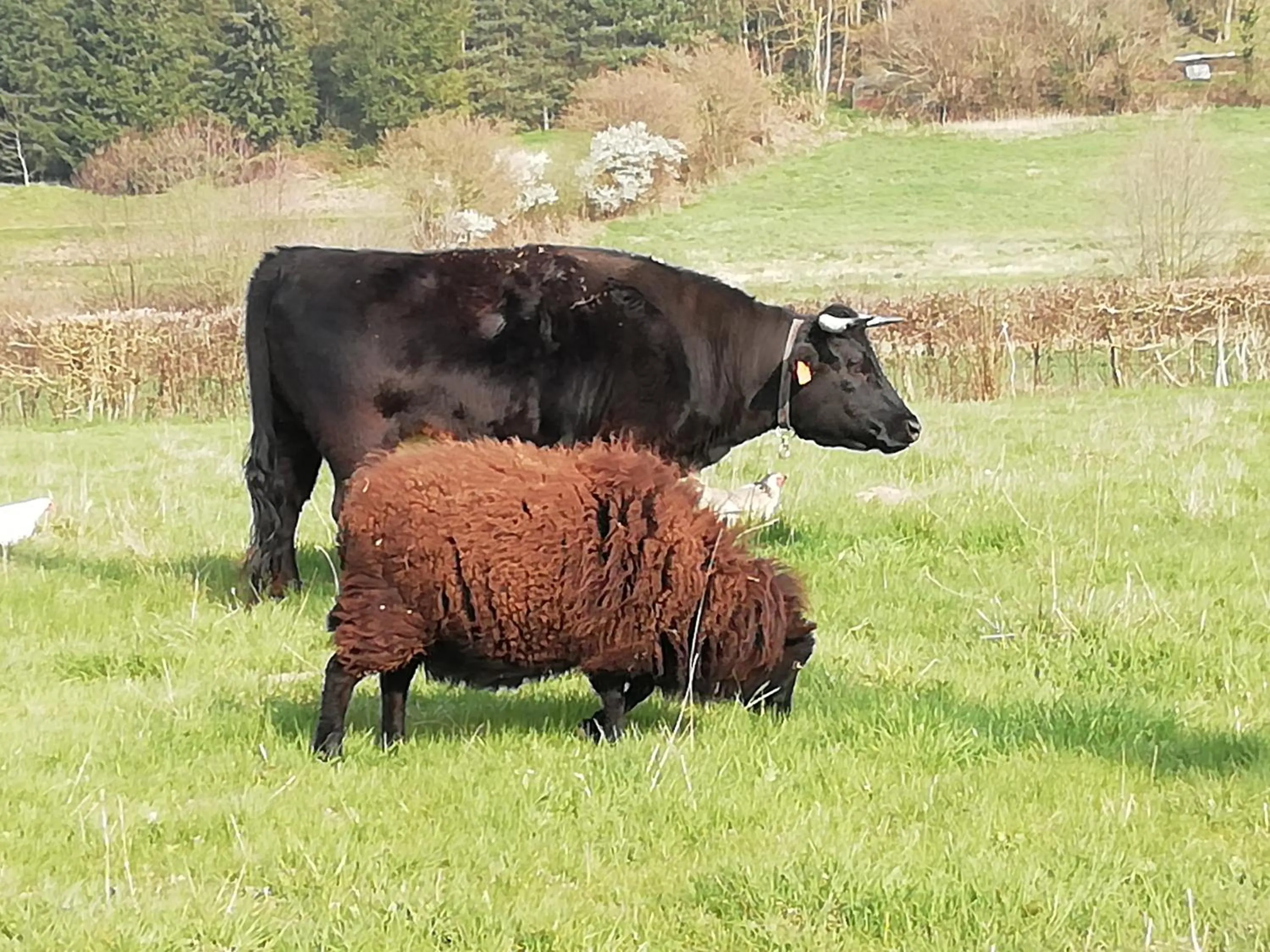 Other in La Haute Forge B&B