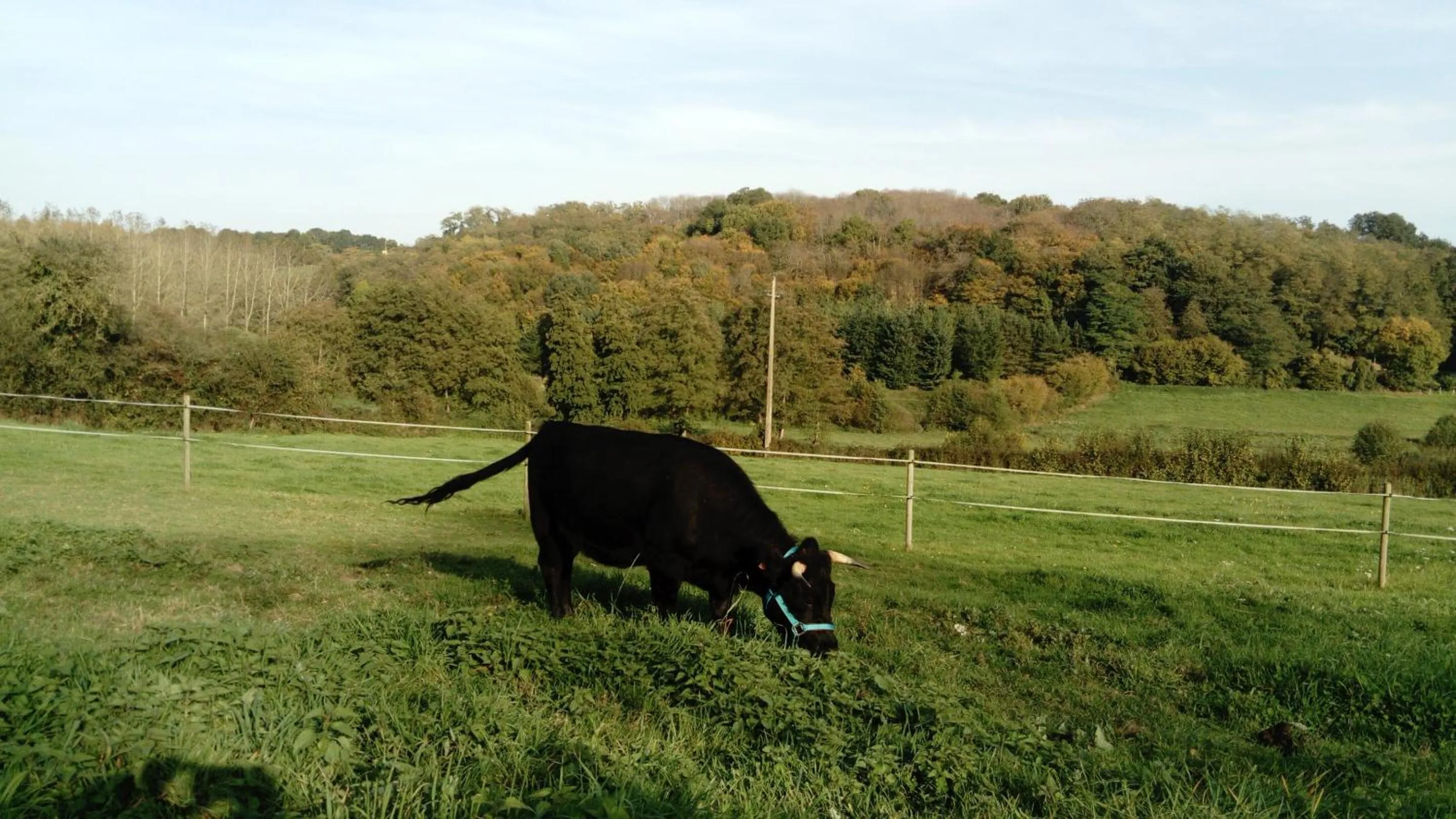 Other in La Haute Forge B&B