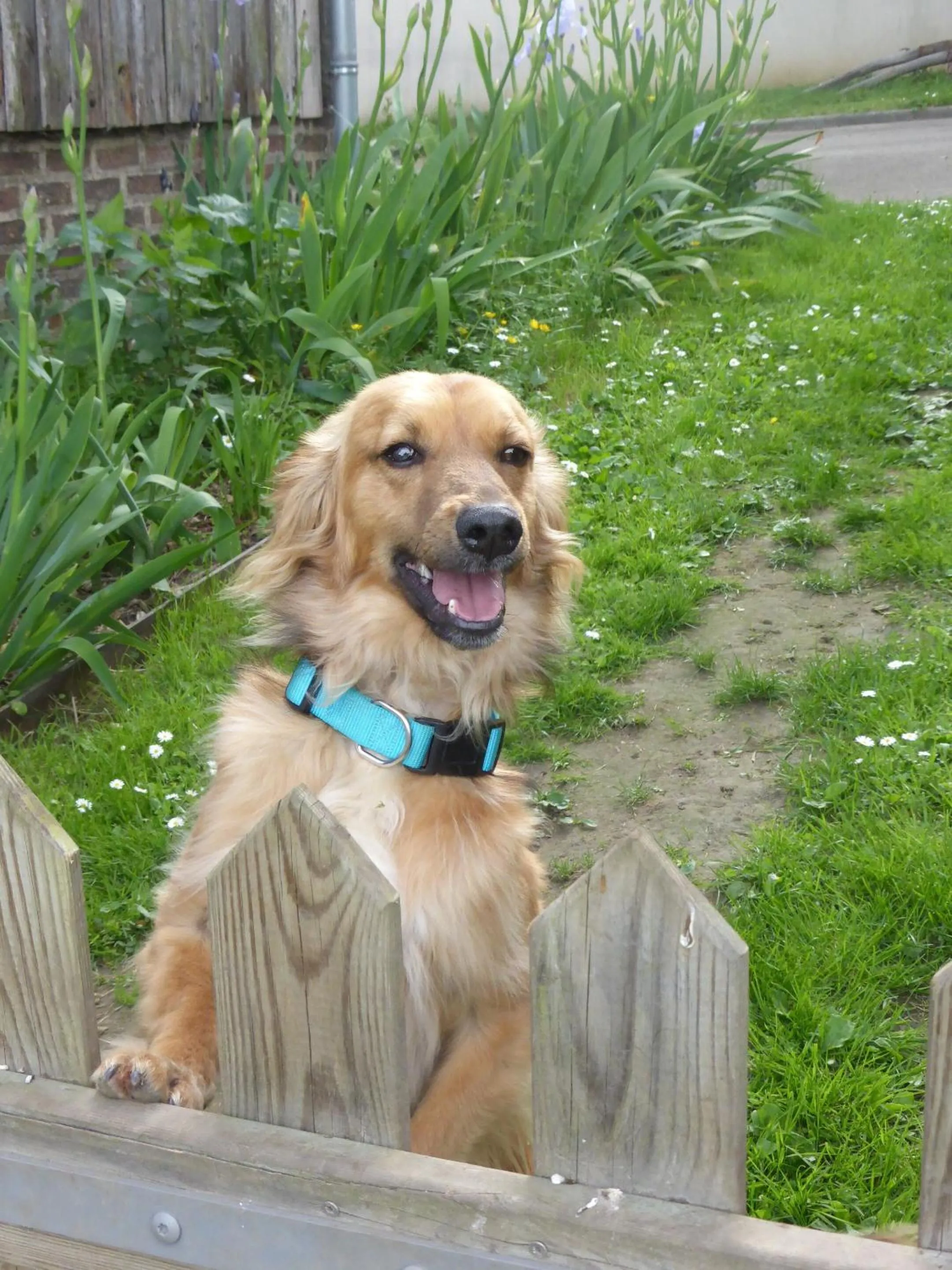 Other in La Haute Forge B&B