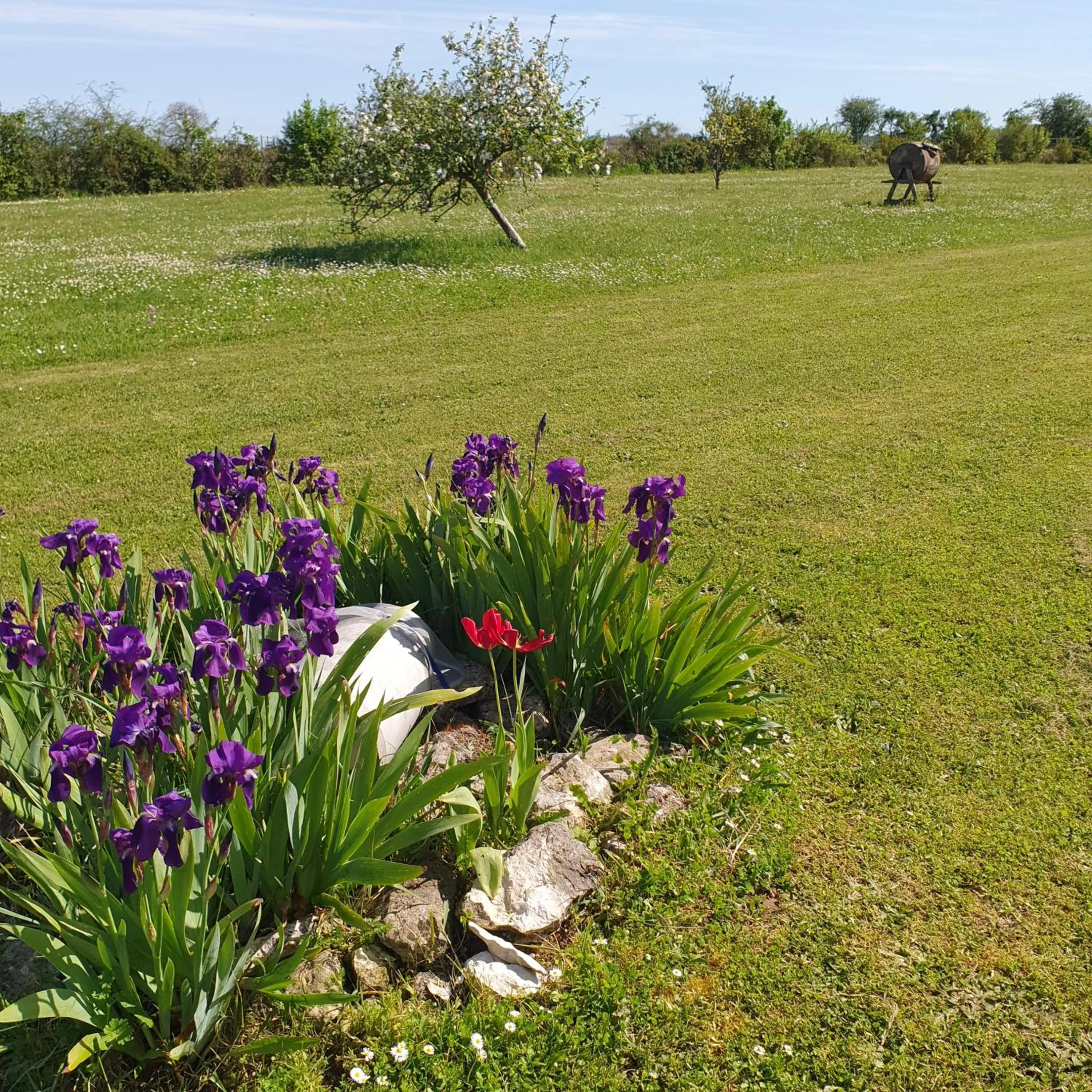 le domaine de bellevue