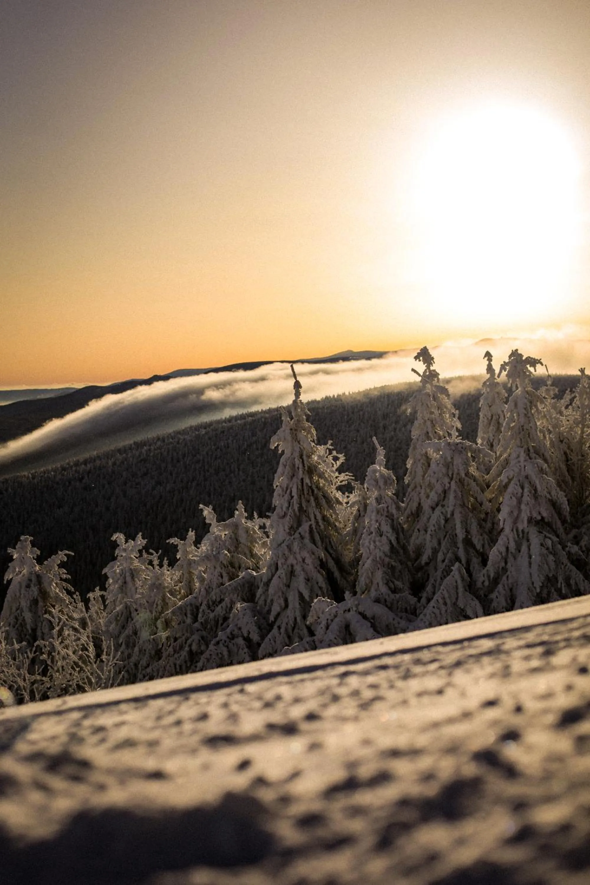 Neighbourhood in Ski&Sun Apartamenty