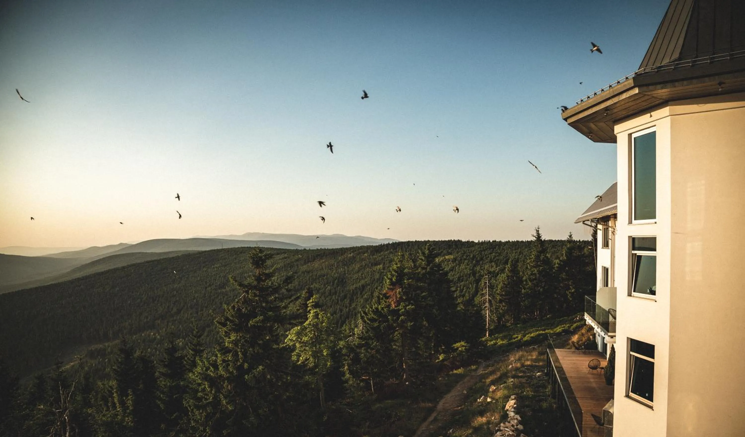 Natural landscape in Ski&Sun Apartamenty