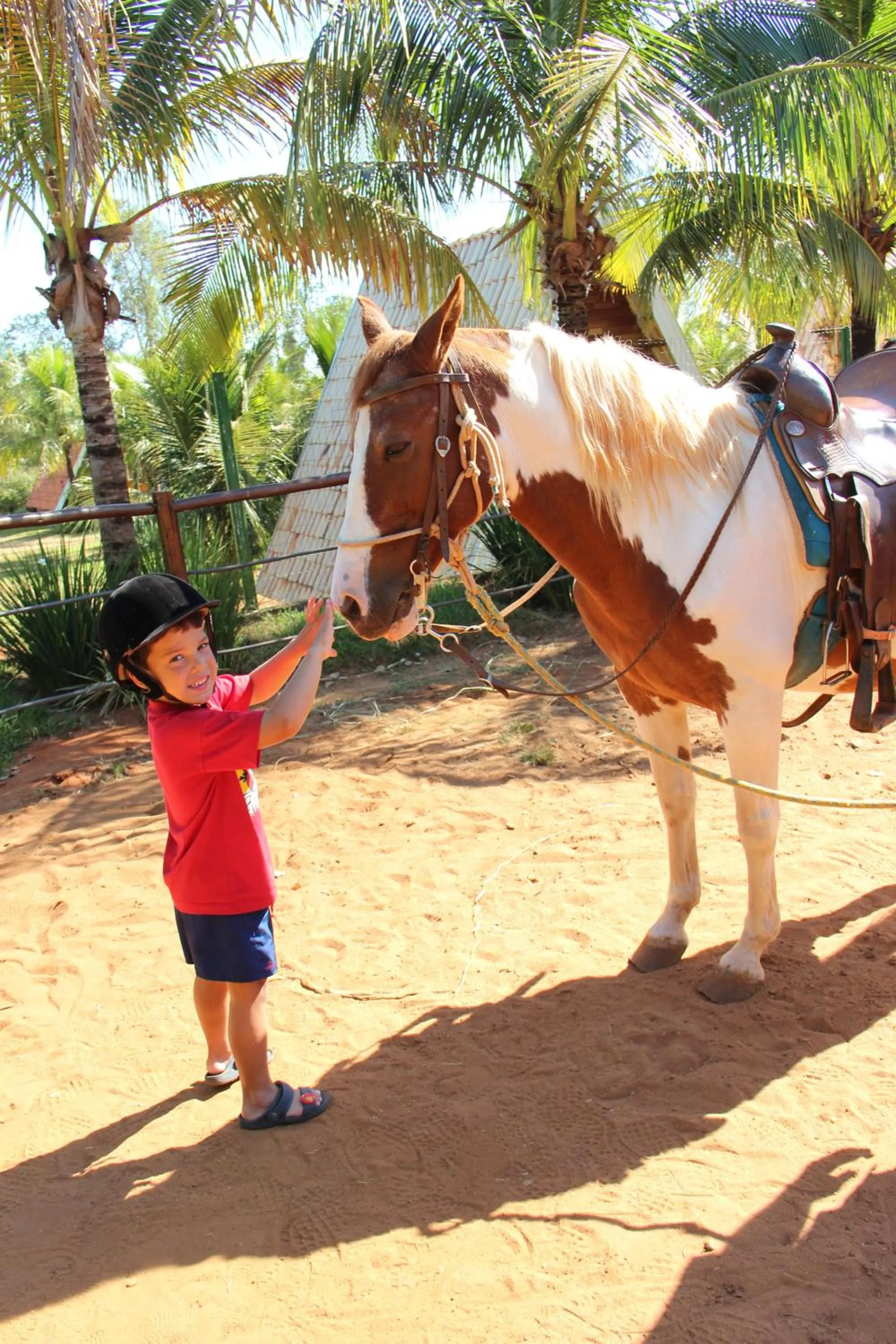 Sports in Monte Carlo Pousada
