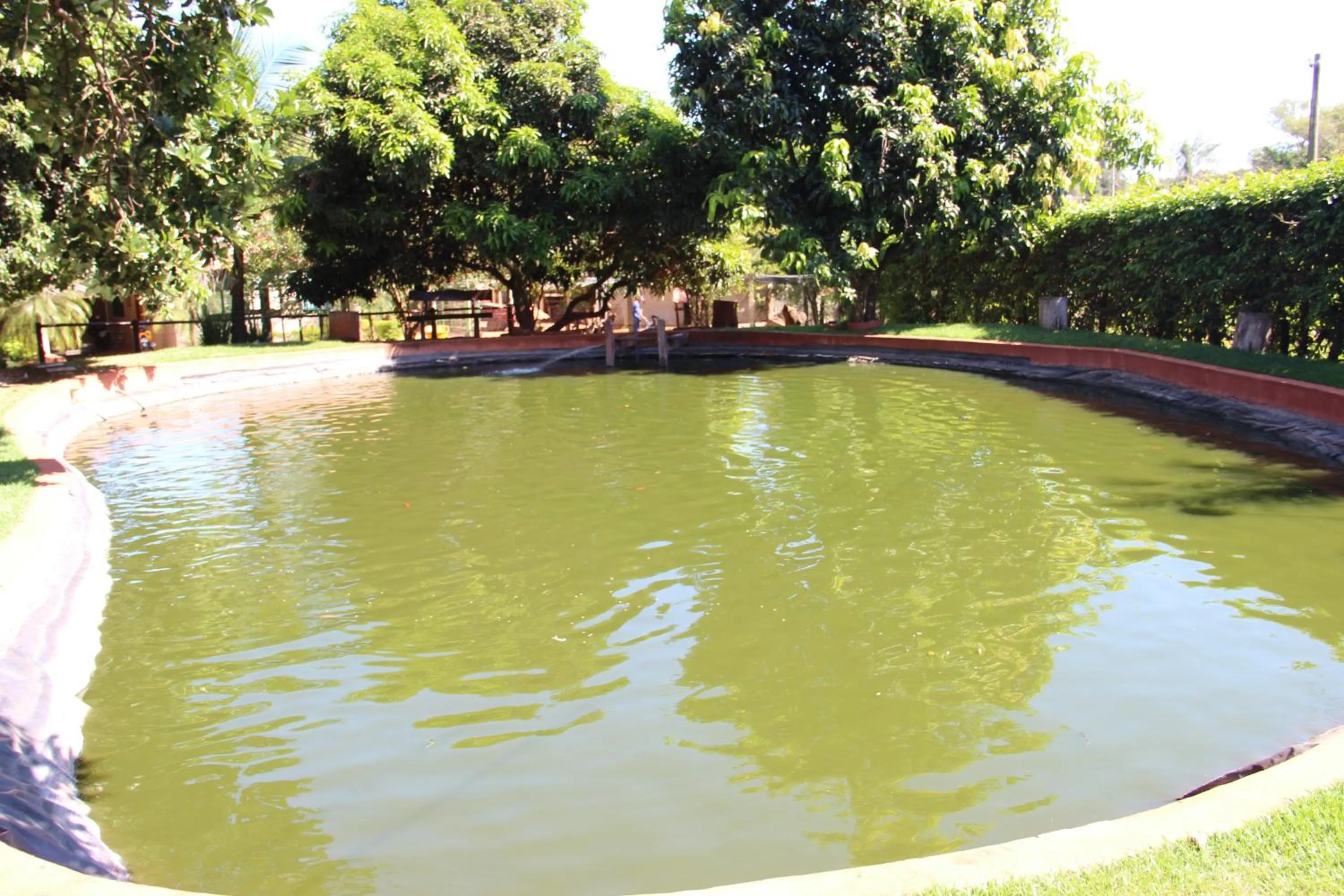 Area and facilities in Monte Carlo Pousada