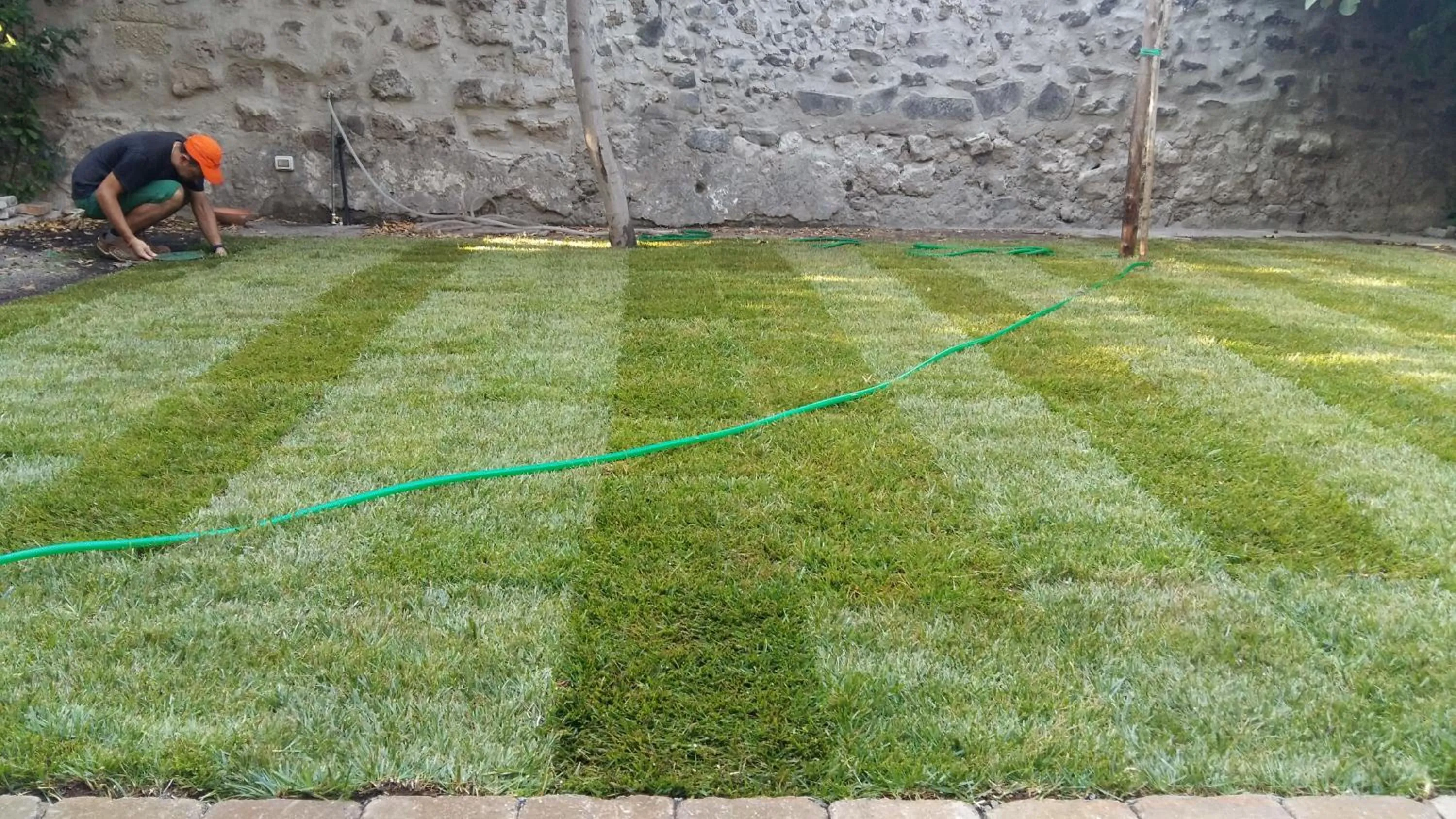 Garden in Il Giardino di Tonia - Oplontis Guest House - Bed & Garden -