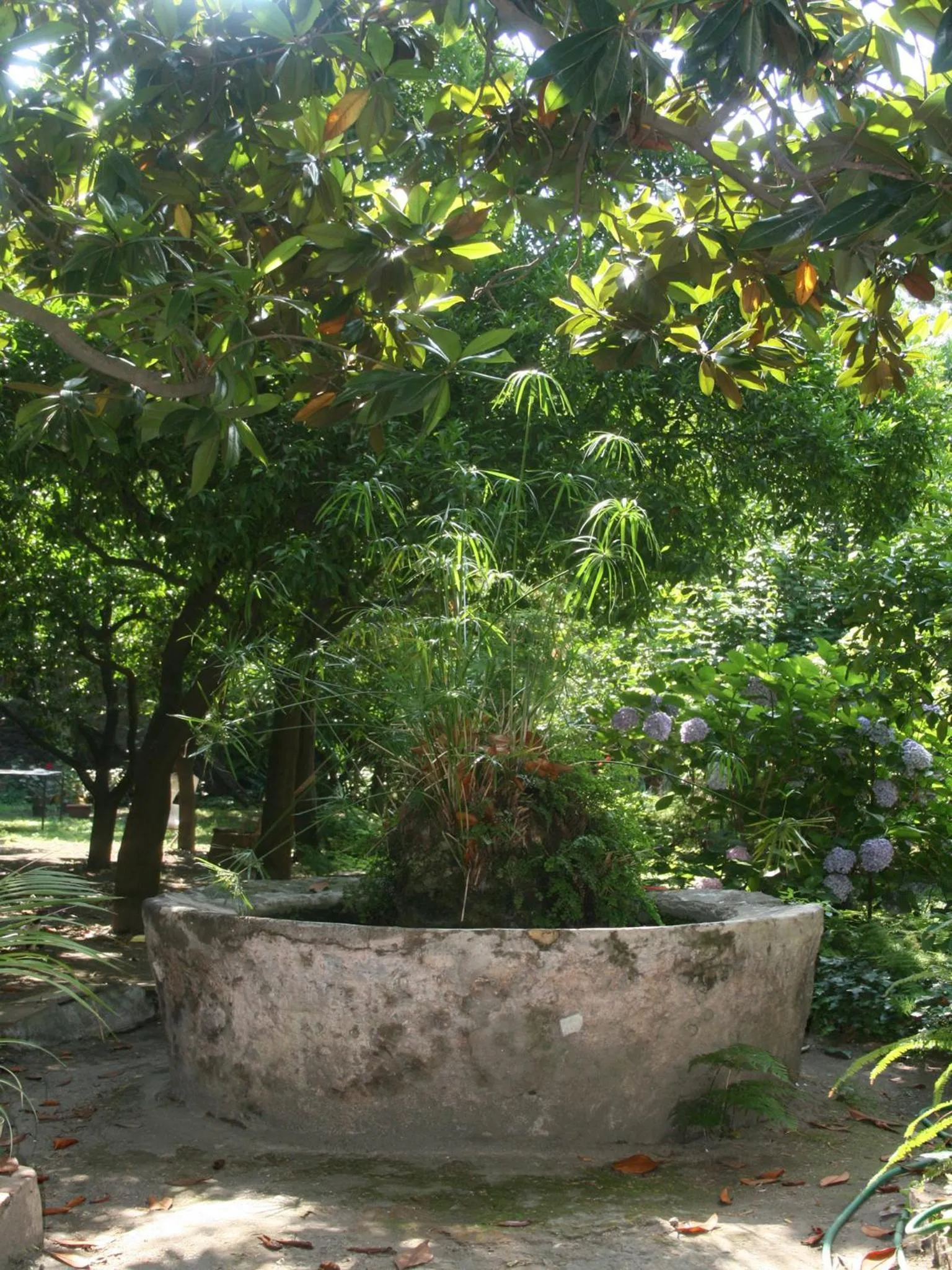 Garden in Il Giardino di Tonia - Oplontis Guest House - Bed & Garden -