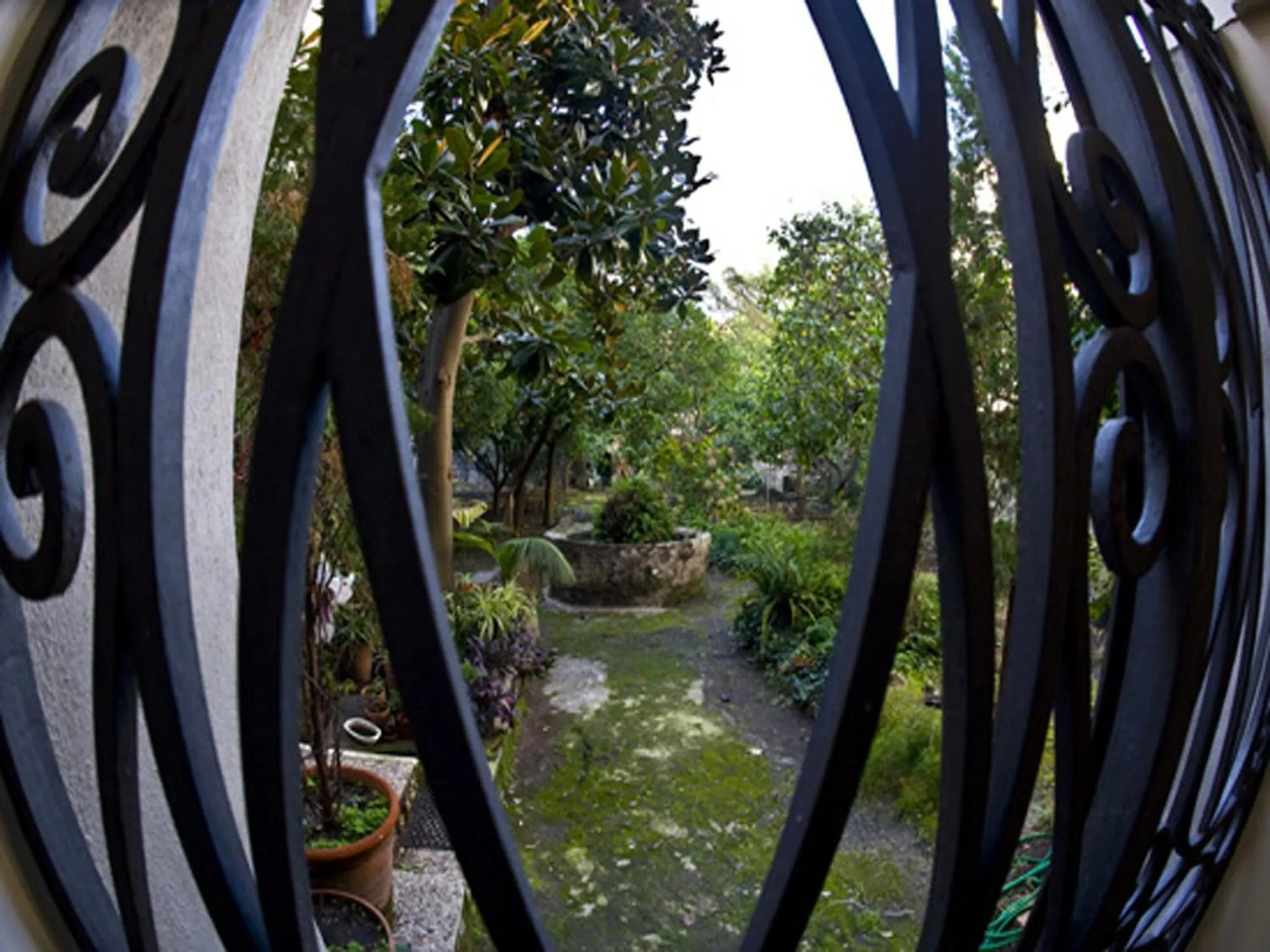 Garden in Il Giardino di Tonia - Oplontis Guest House - Bed & Garden -