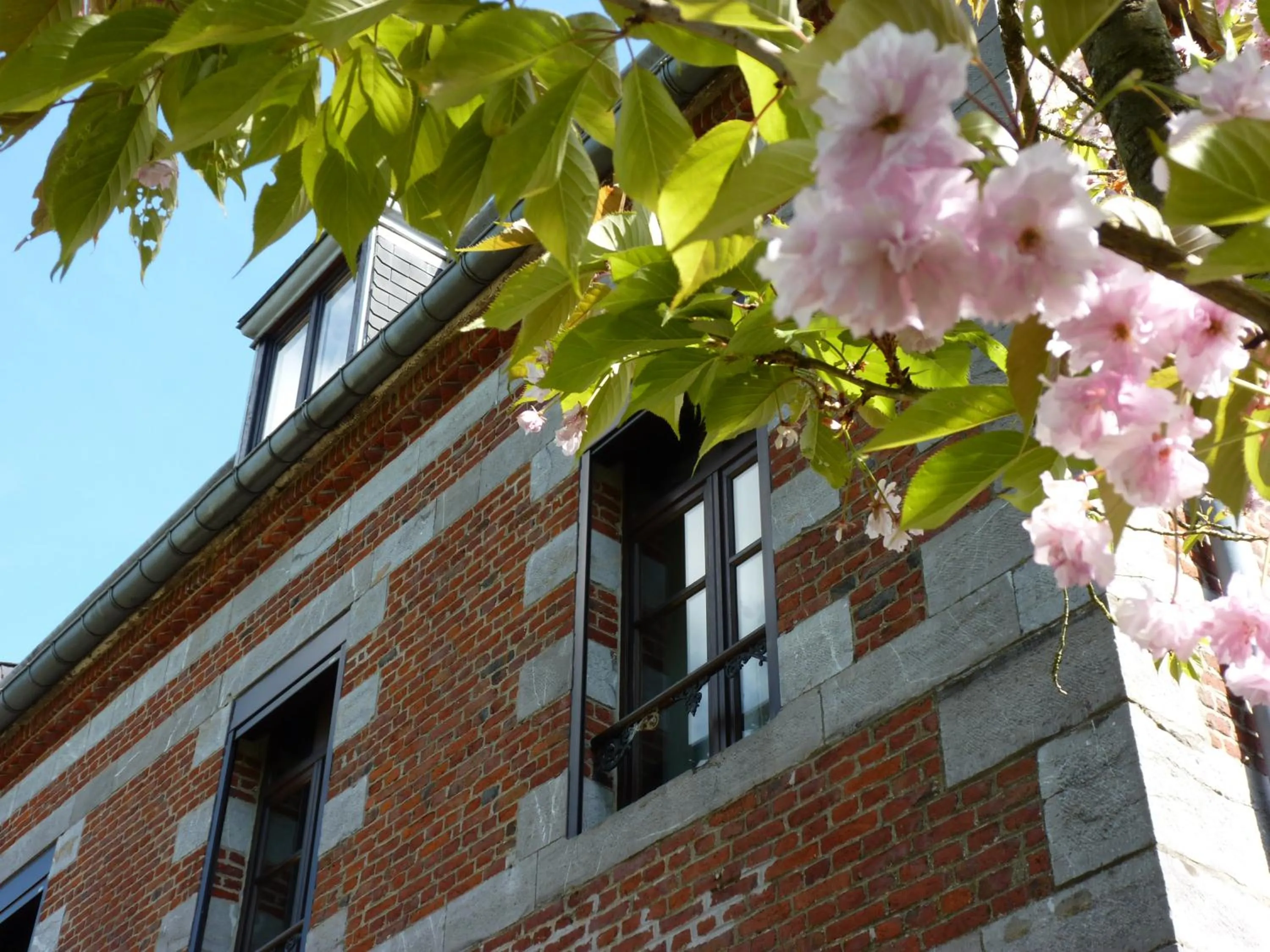 Property building in Aubépine