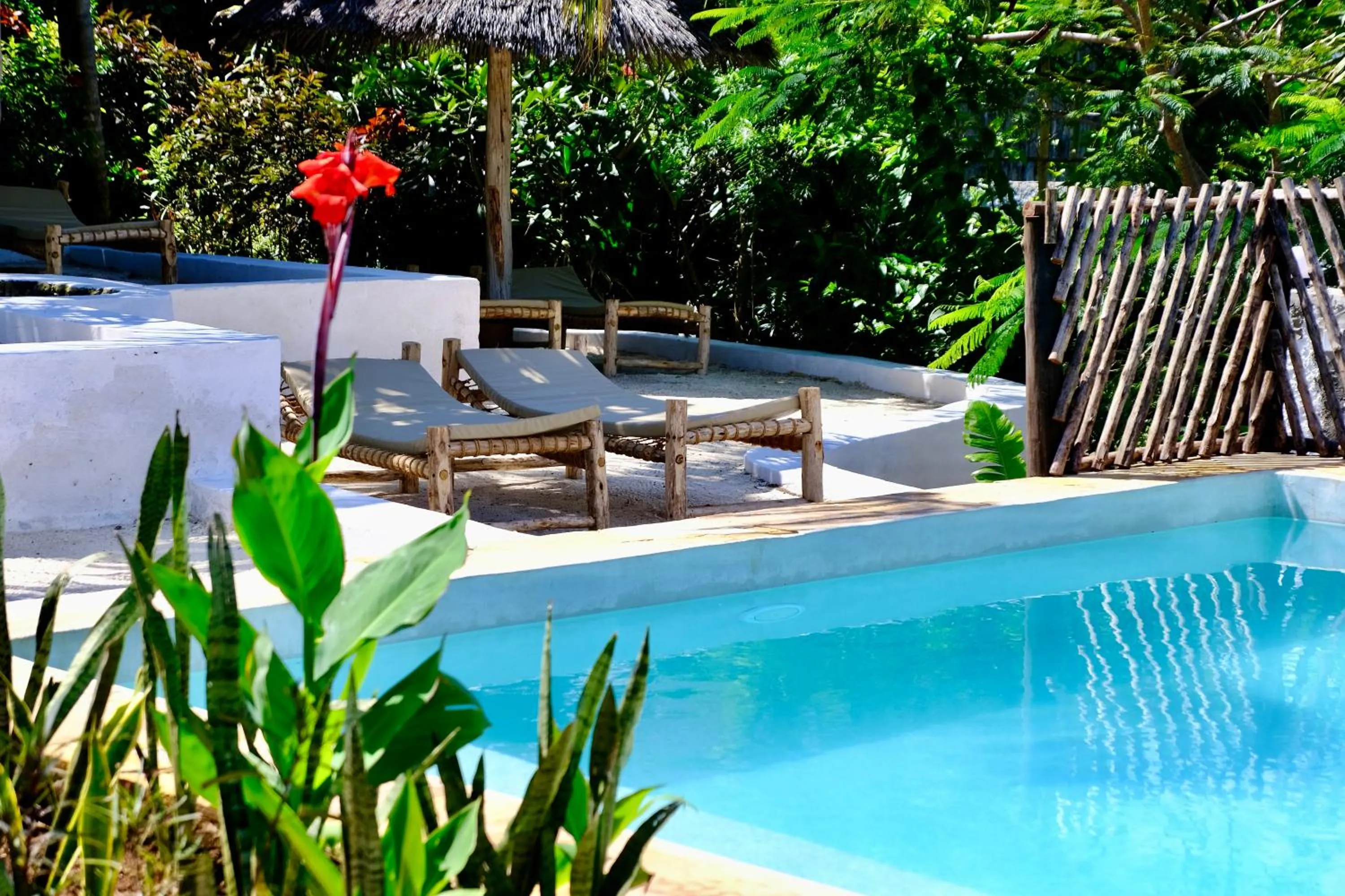 Swimming pool in Nyumbani Residence Suites