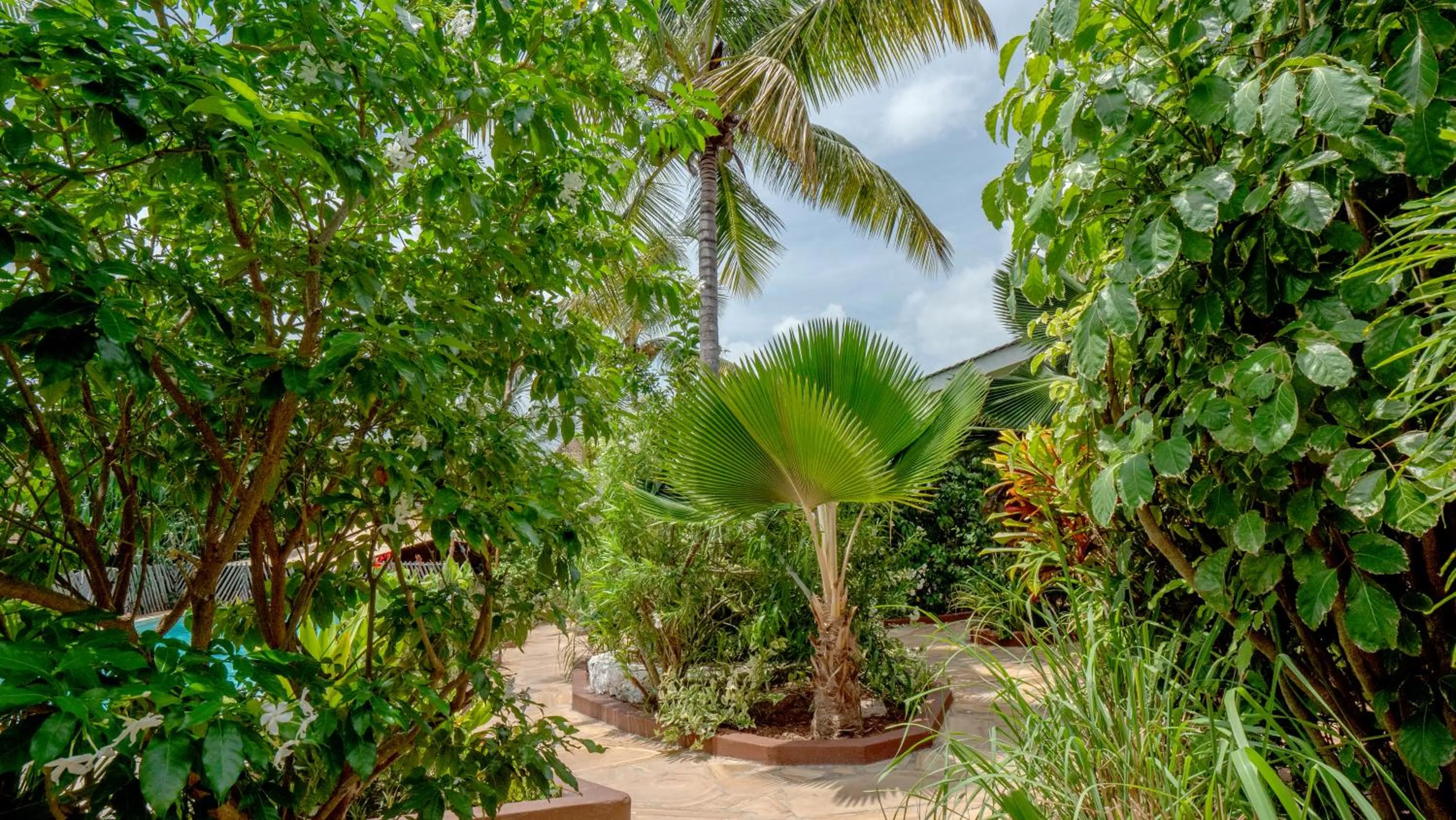 Garden in Nyumbani Residence Suites