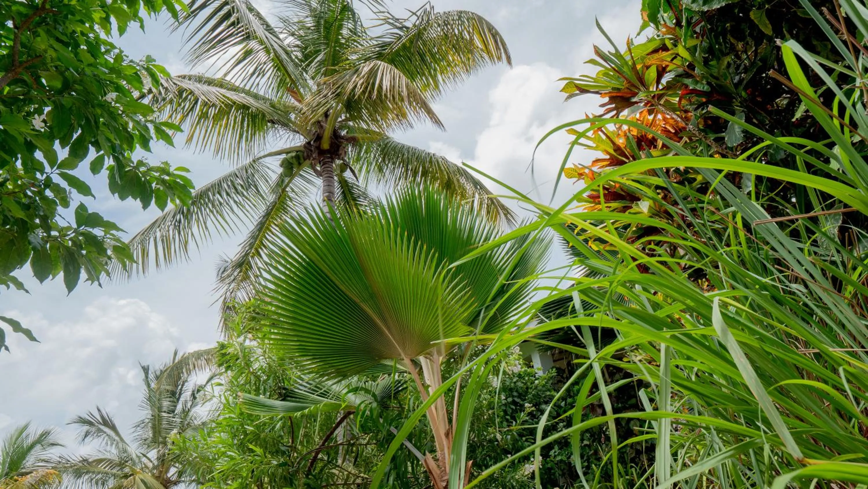 Day in Nyumbani Residence Suites