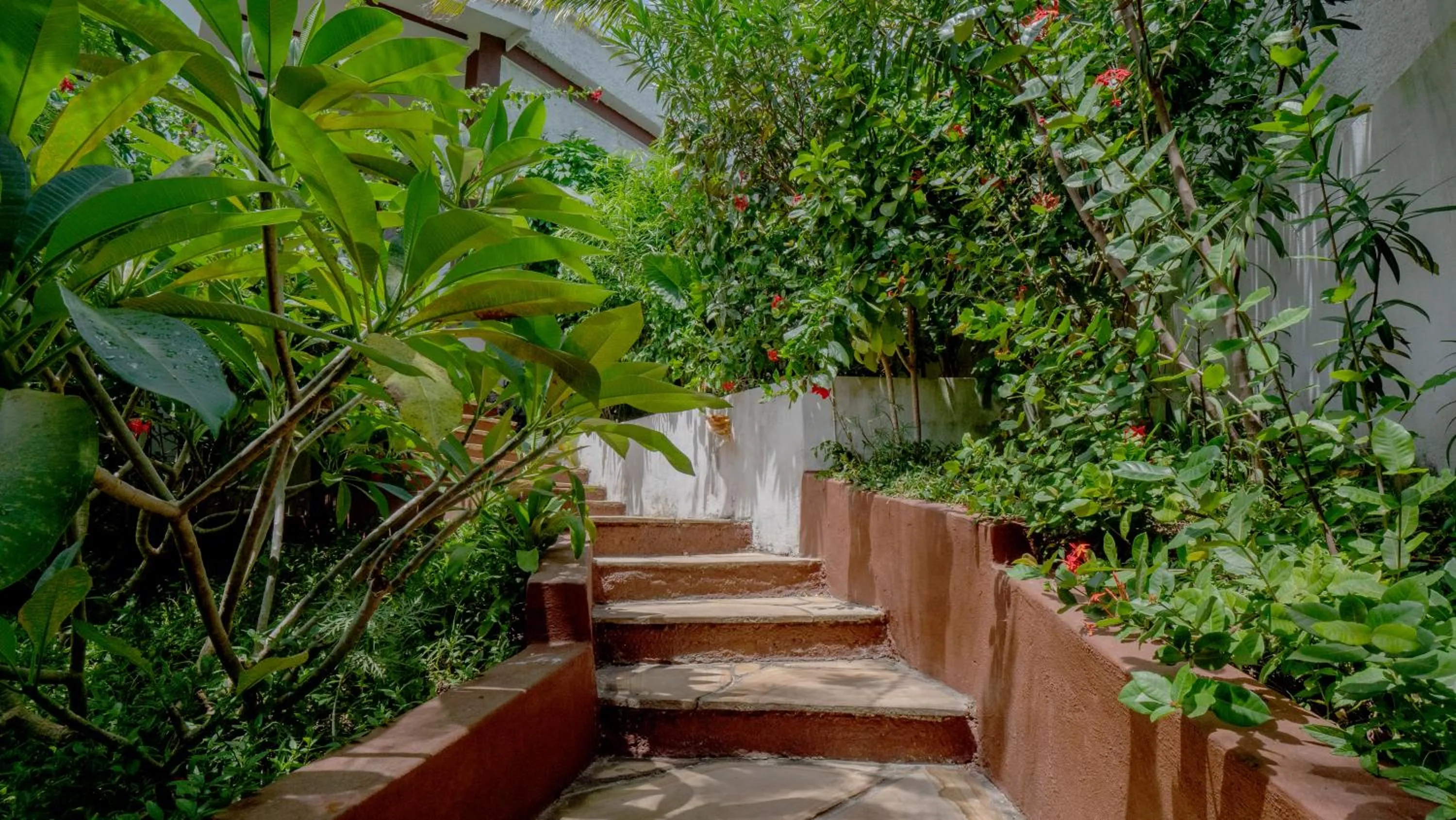 Garden in Nyumbani Residence Suites