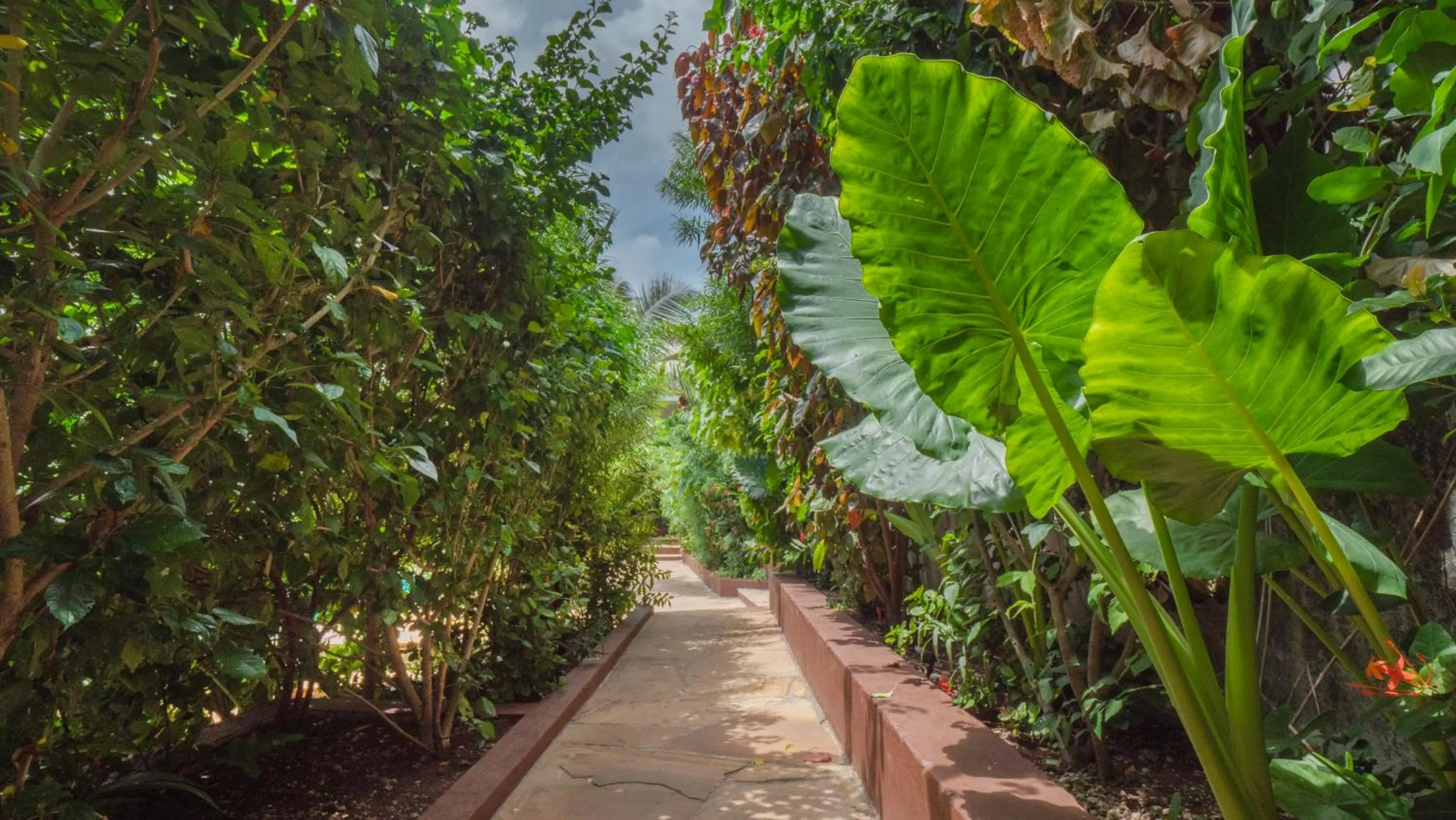 Garden in Nyumbani Residence Suites