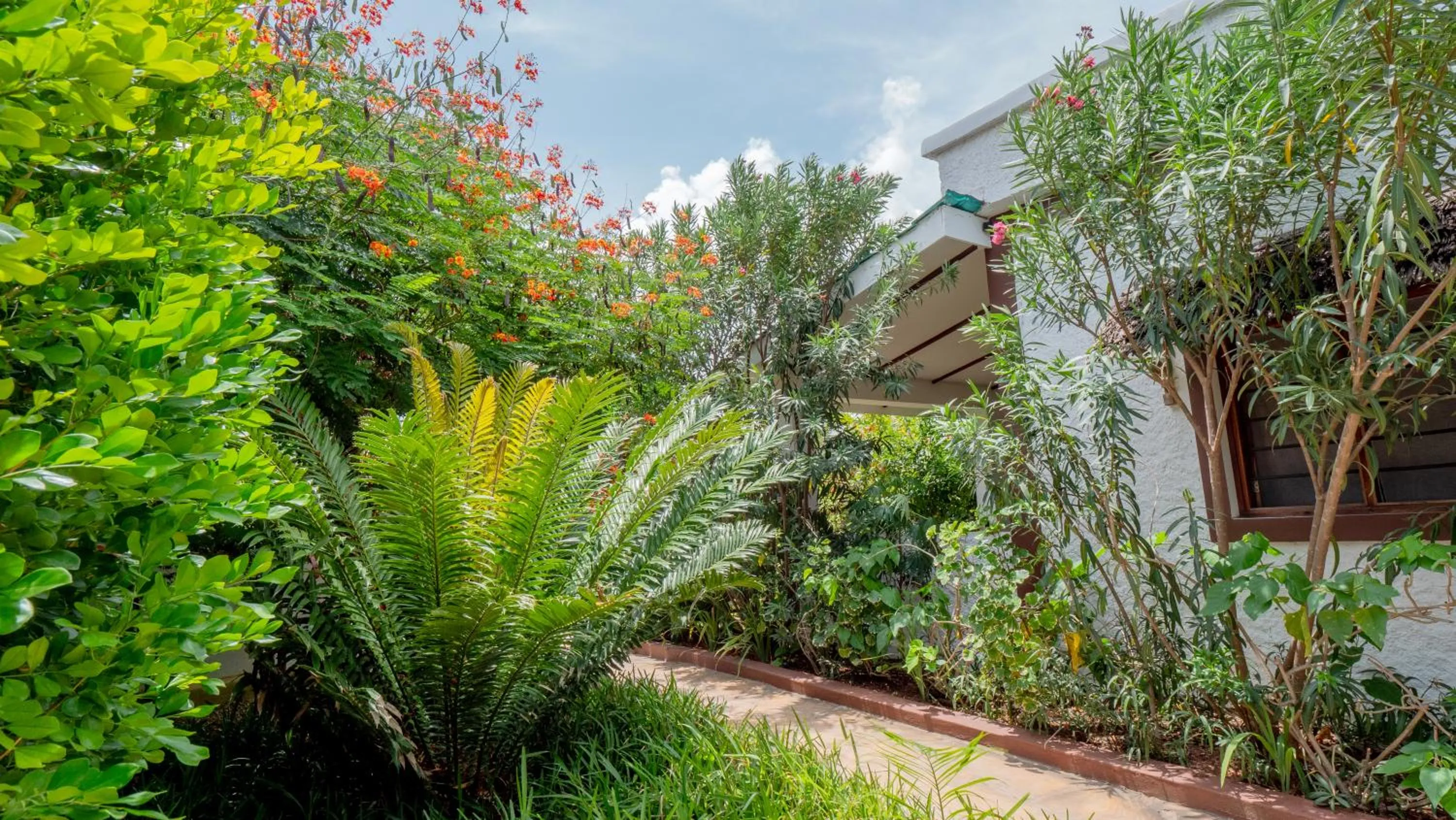 Garden in Nyumbani Residence Suites