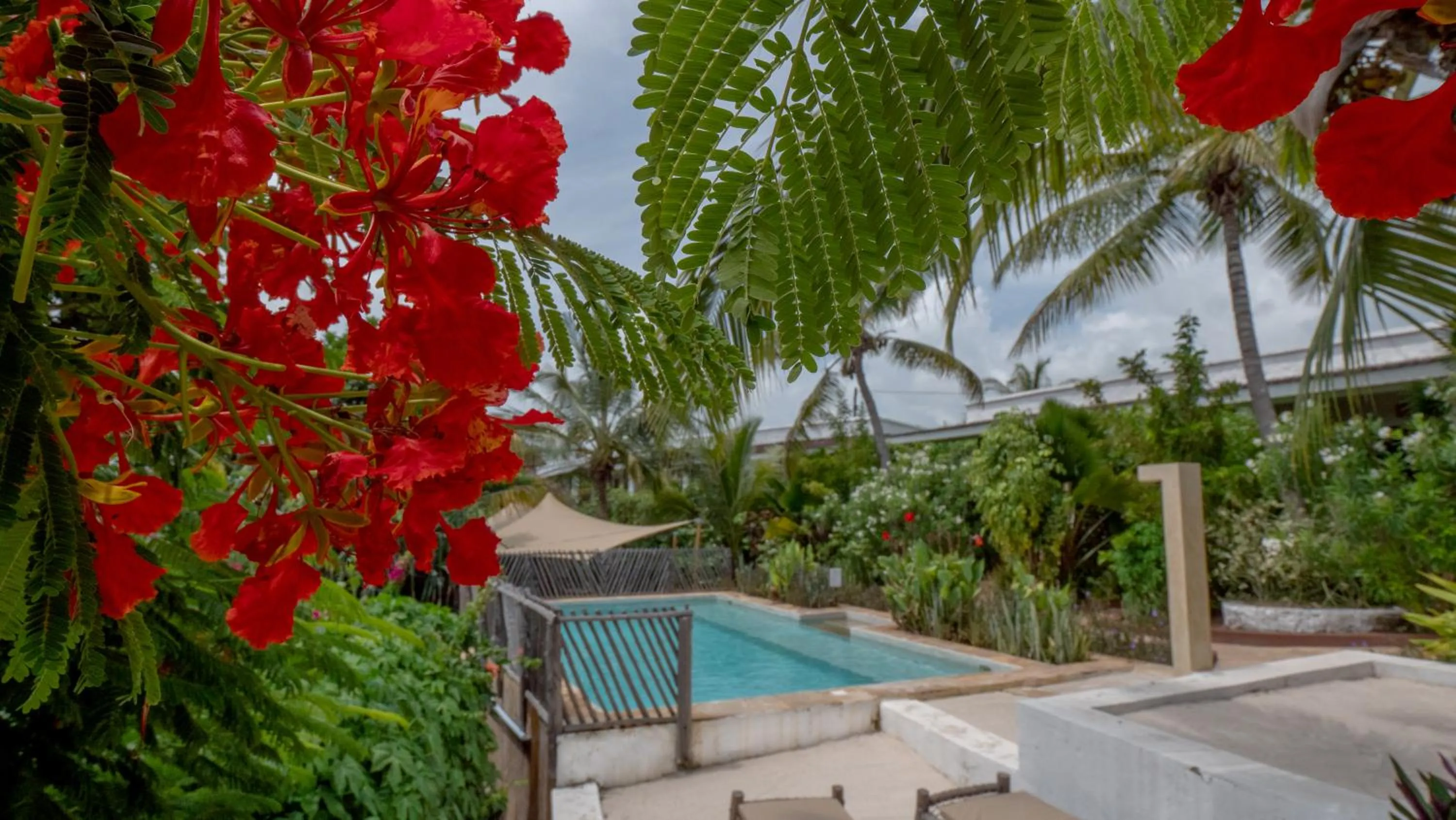 Pool view in Nyumbani Residence Suites