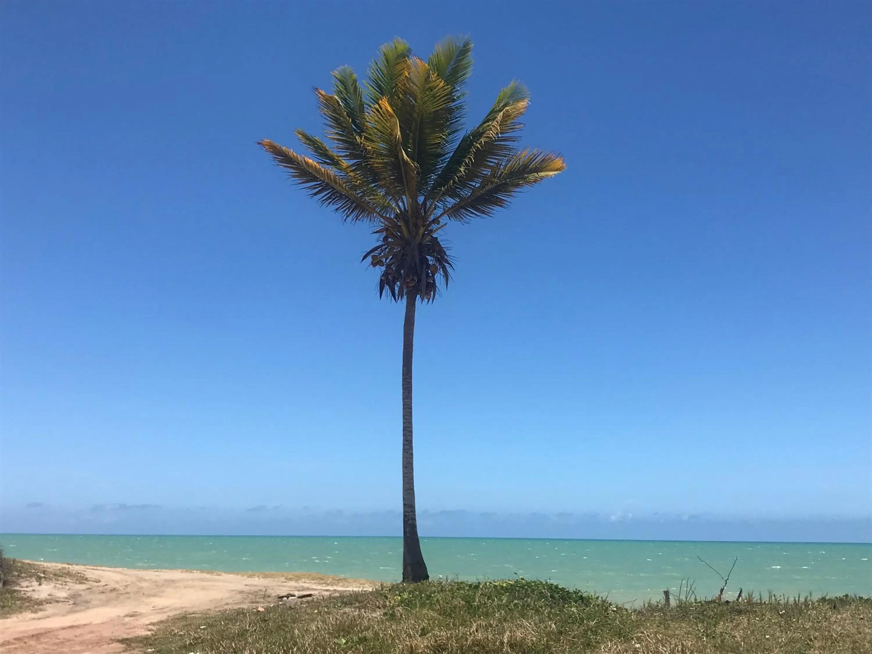 Beach in Hotel Amendoeiras