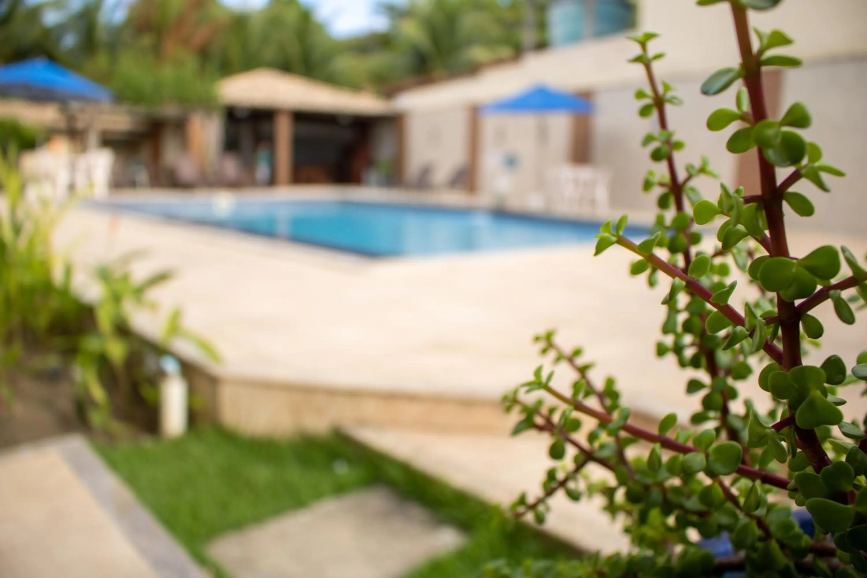 Pool view in Hotel Amendoeiras