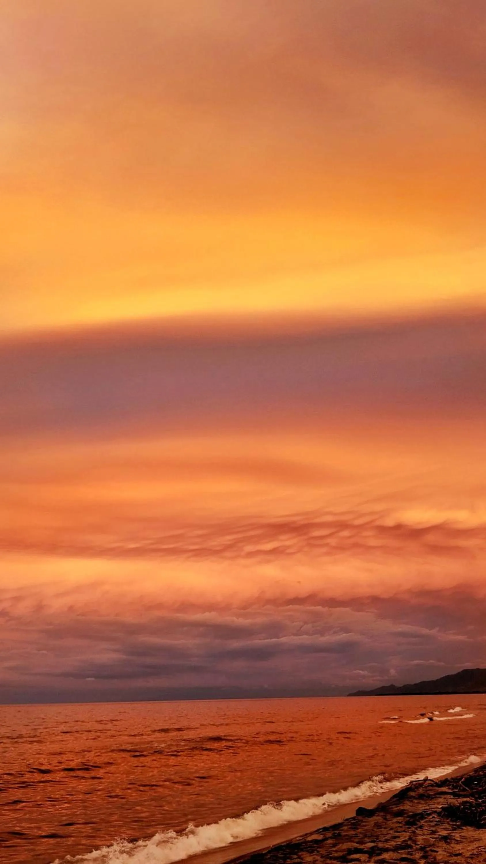 Beach in Blue Mango Beach Hotel