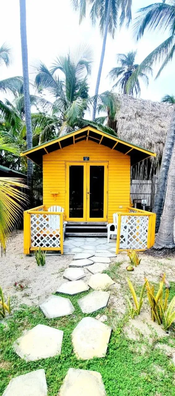 Spring in Blue Mango Beach Hotel