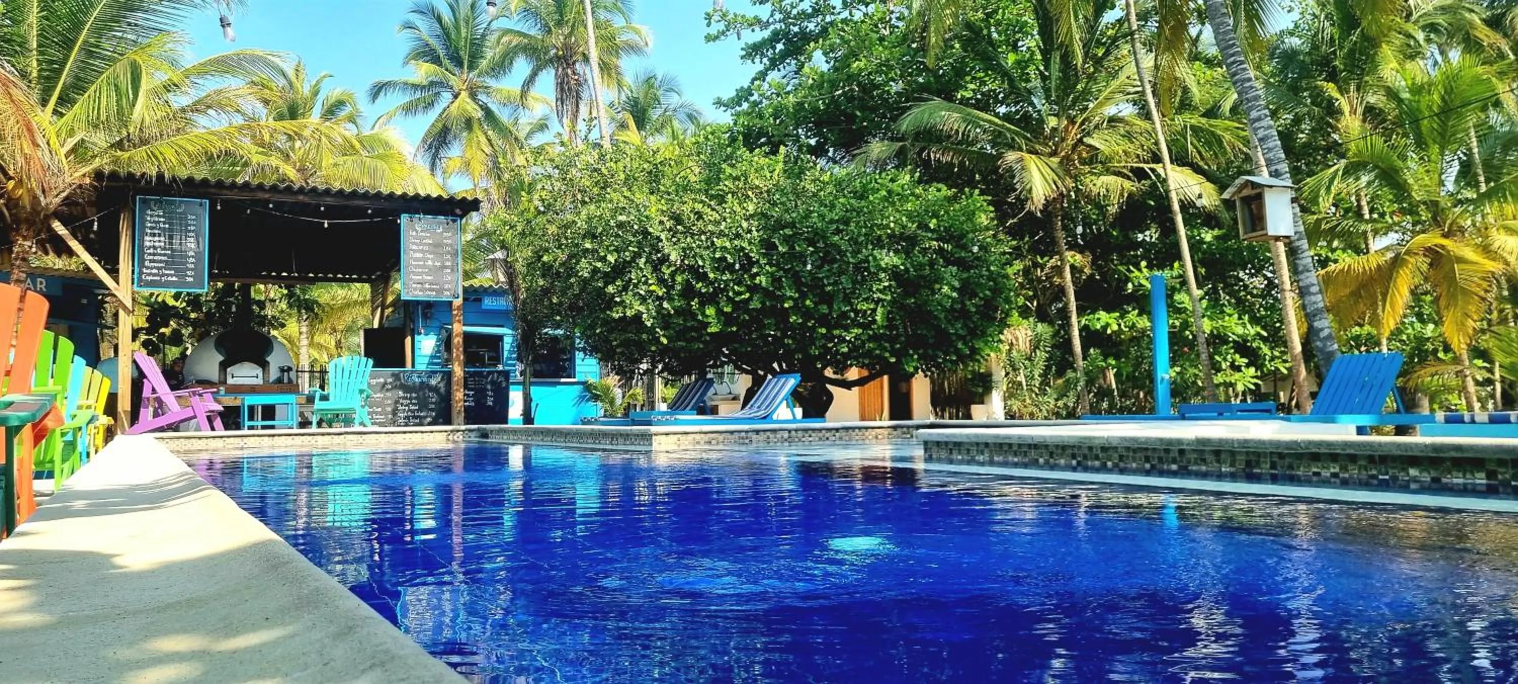 Swimming pool in Blue Mango Beach Hotel