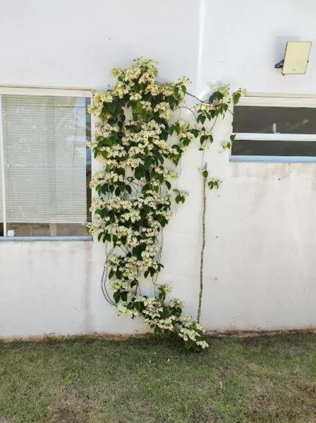 Pousada Recanto das Margaridas