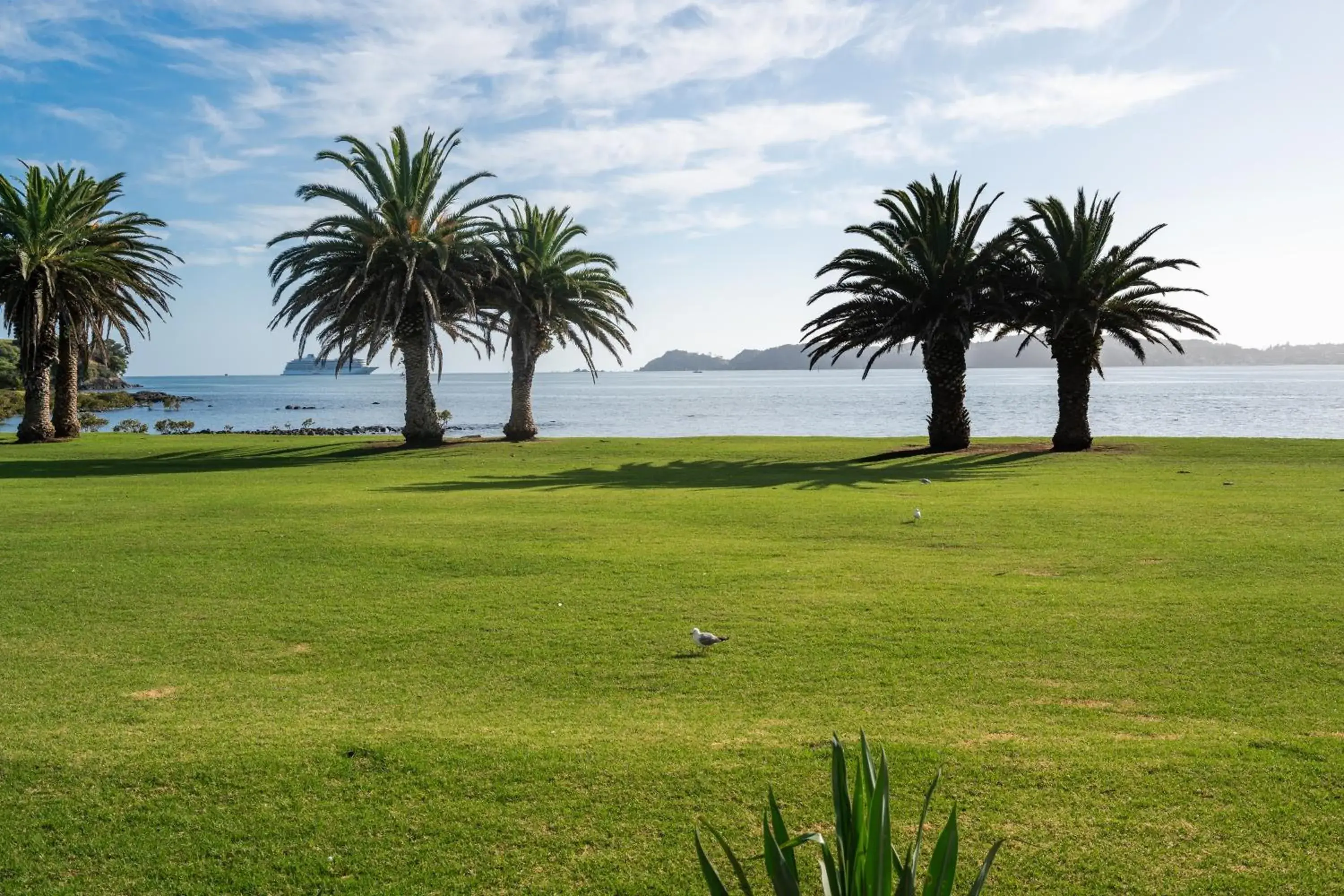 View (from property/room) in Copthorne Hotel & Resort Bay Of Islands View (from property/room) in Copthorne Hotel & Resort Bay Of Islands