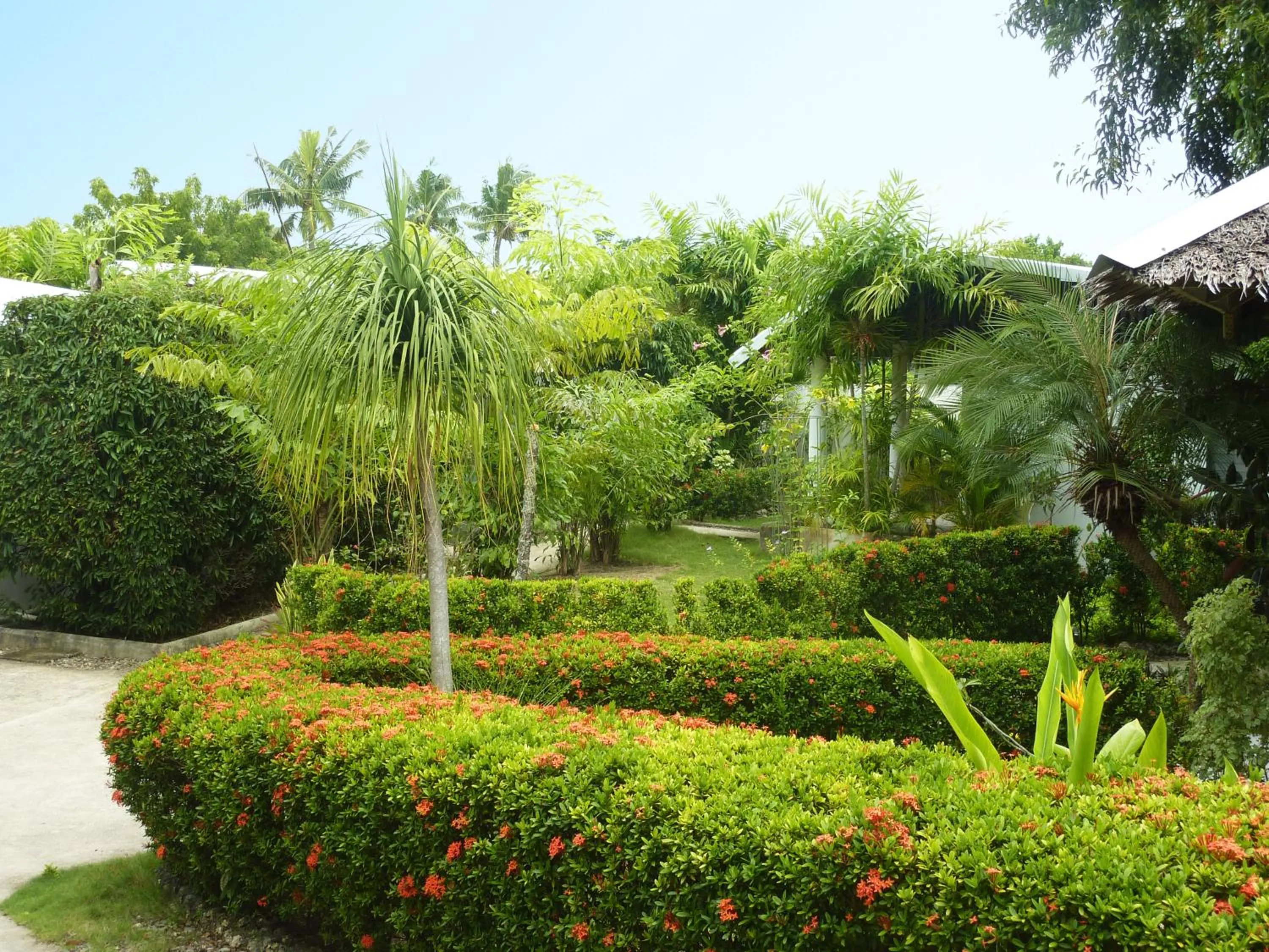 Facade/entrance in Marcosas Cottages Resort