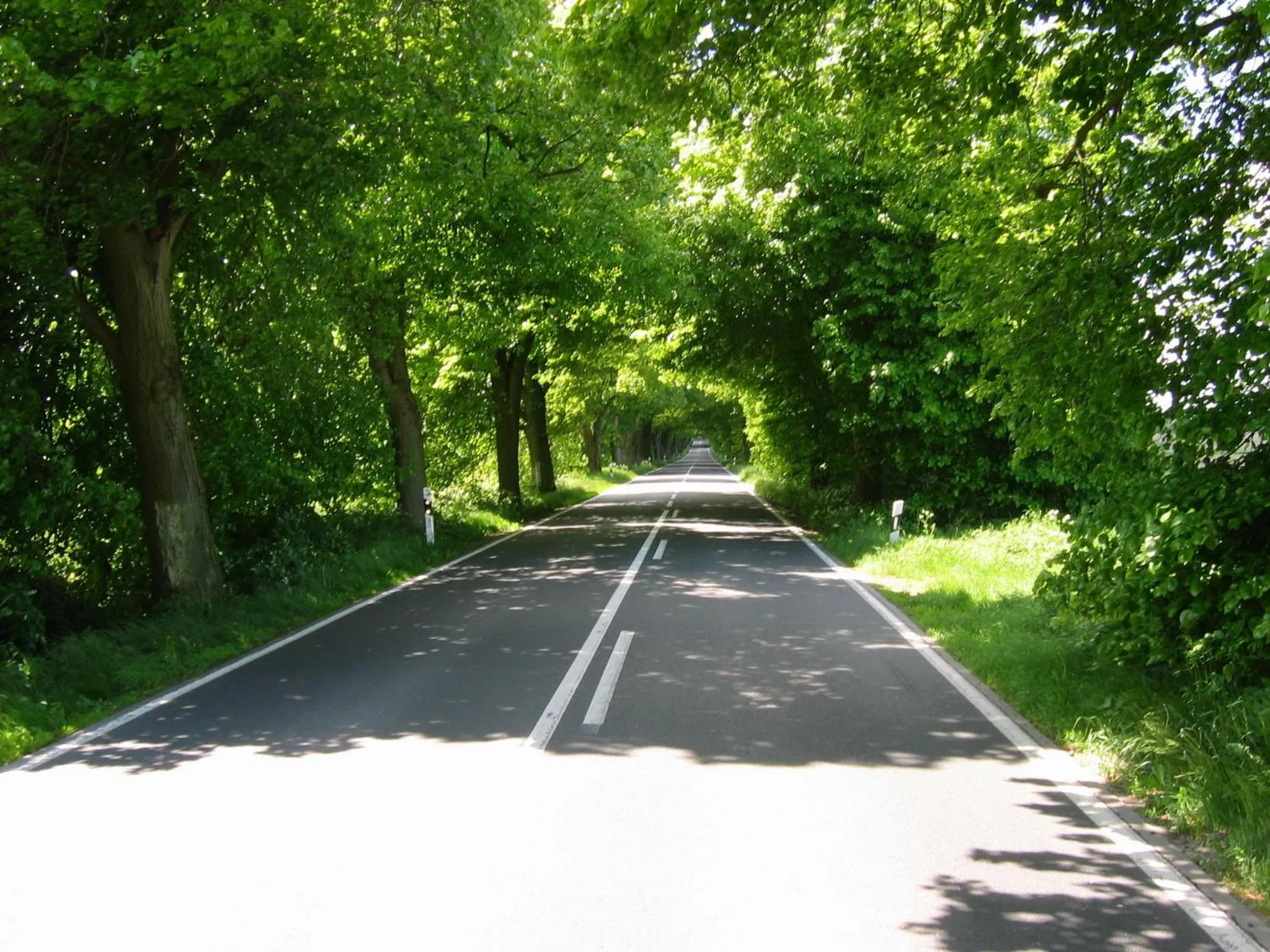 Area and facilities in Oma's Küche & Quartier