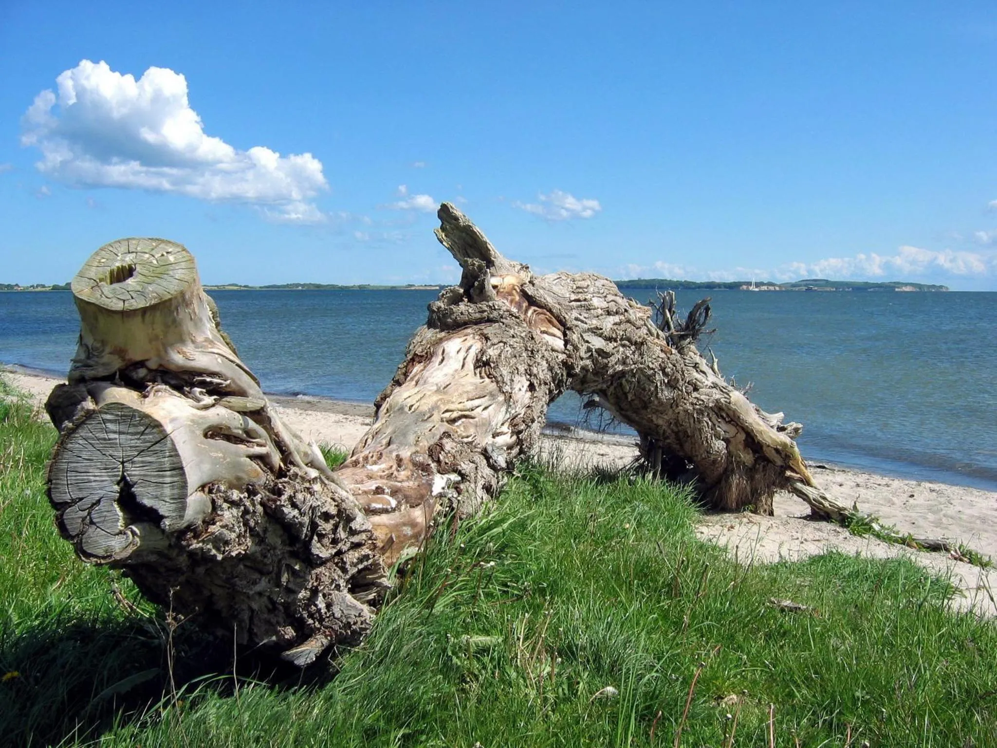 Area and facilities in Oma's Küche & Quartier