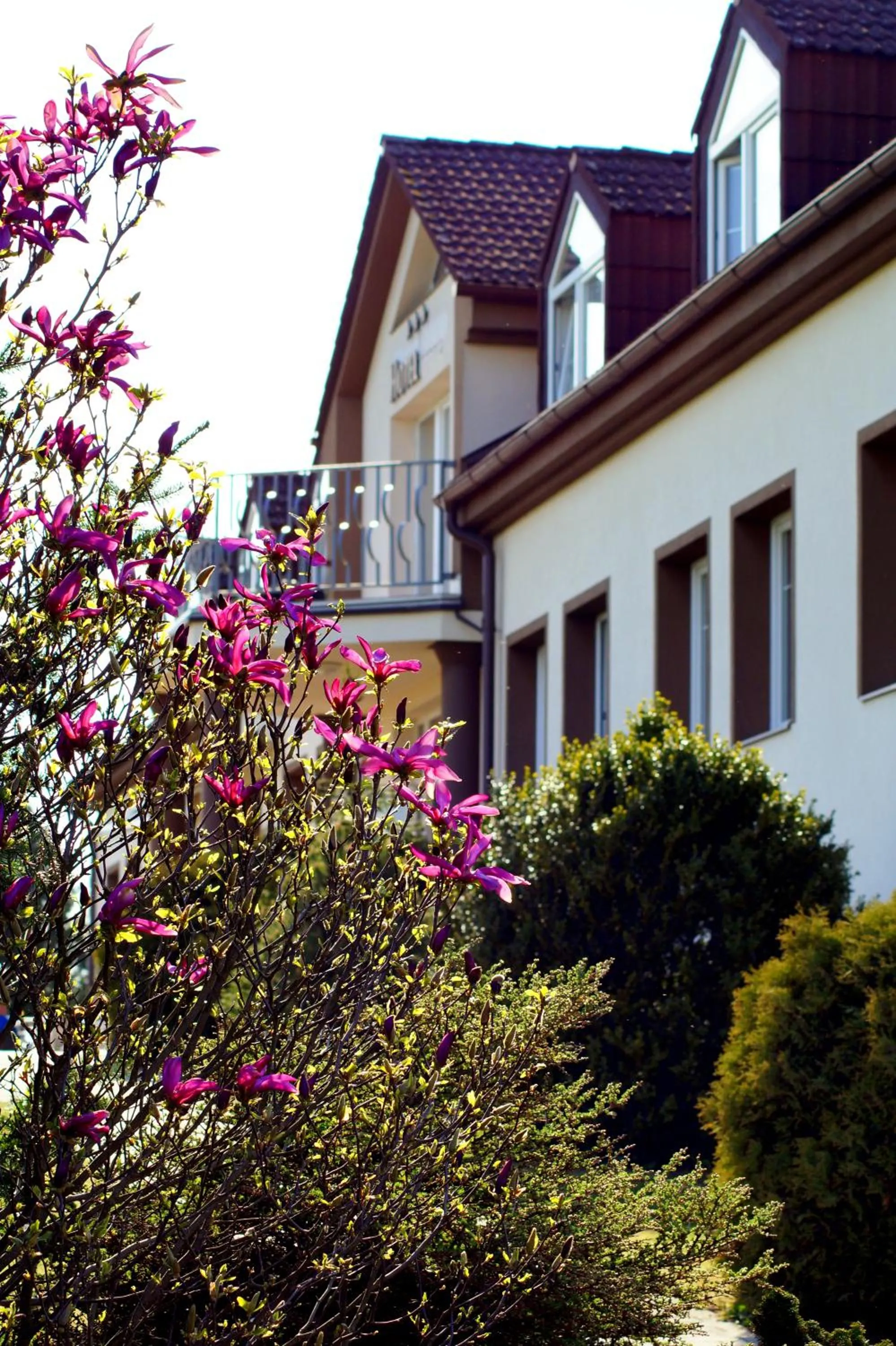 Hotel BRADA