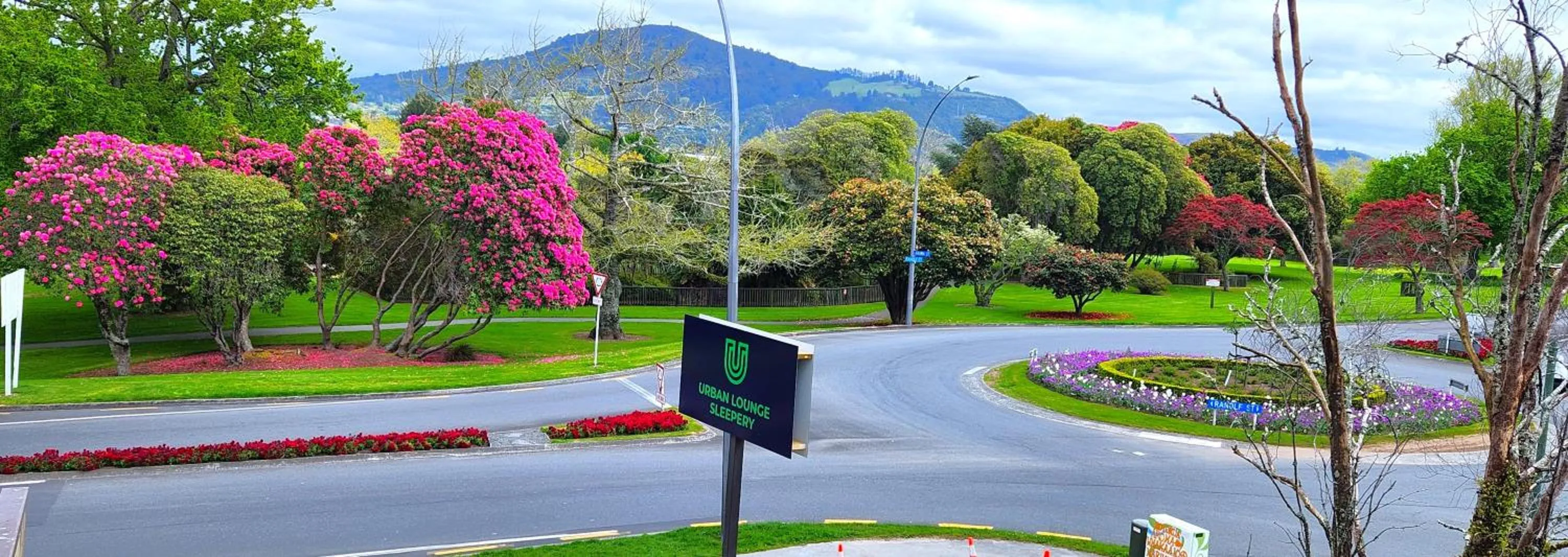 View (from property/room) in Urban Lounge Sleepery, SureStay Collection by BW